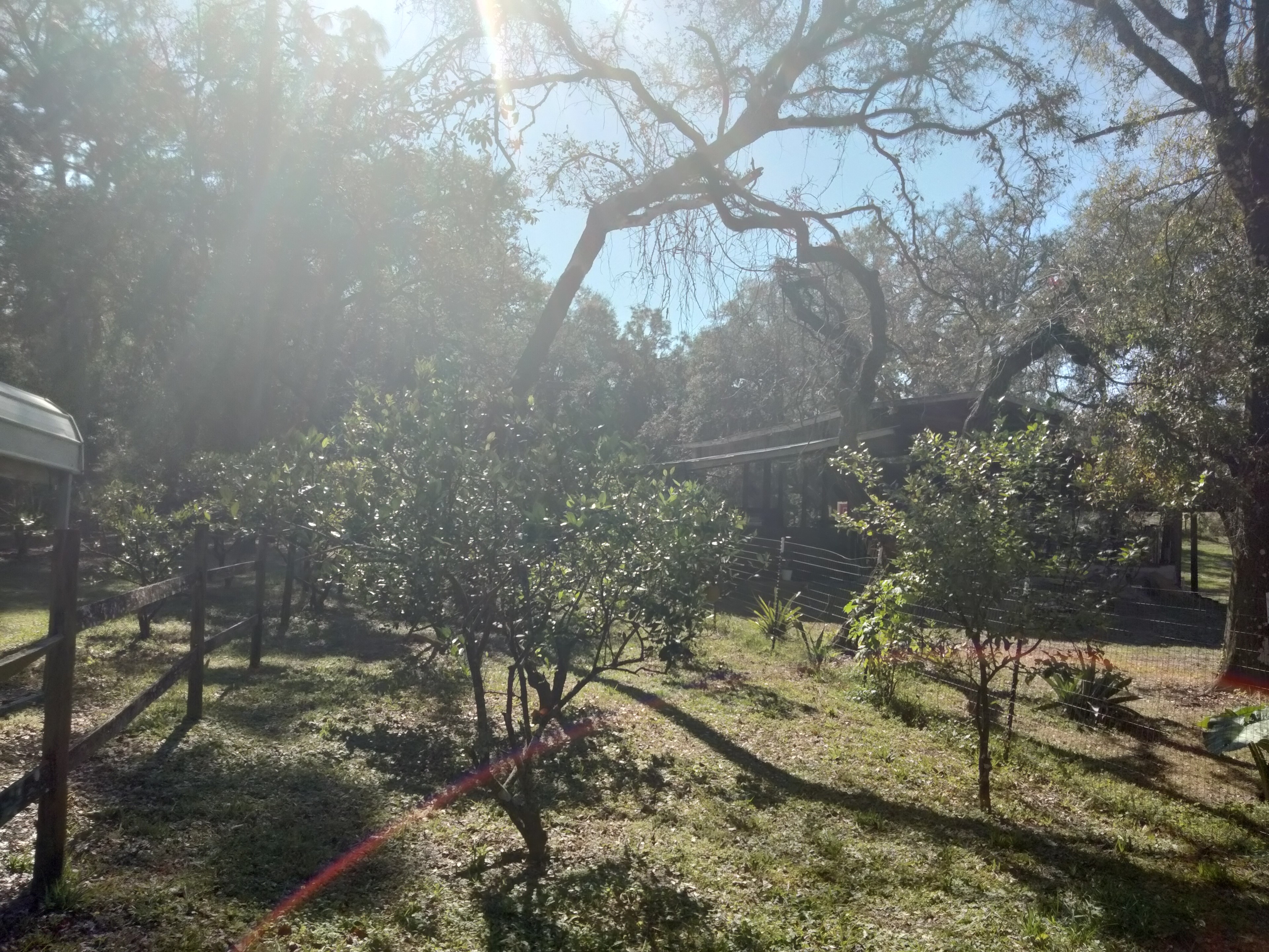 The Inn At The Forest