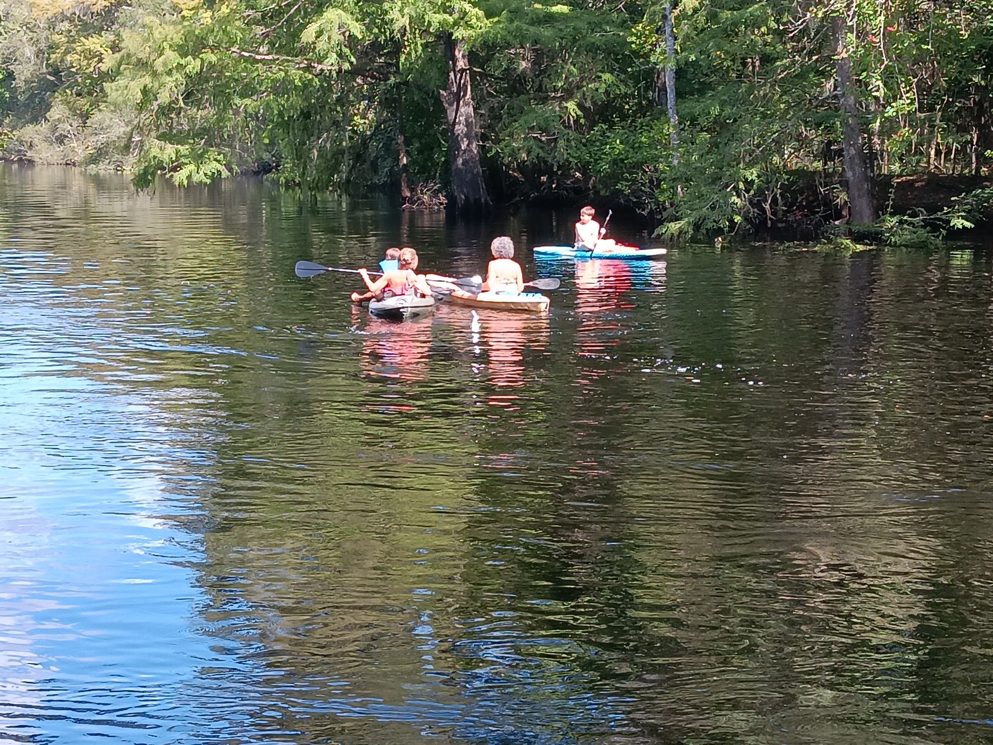 The Inn At The Forest