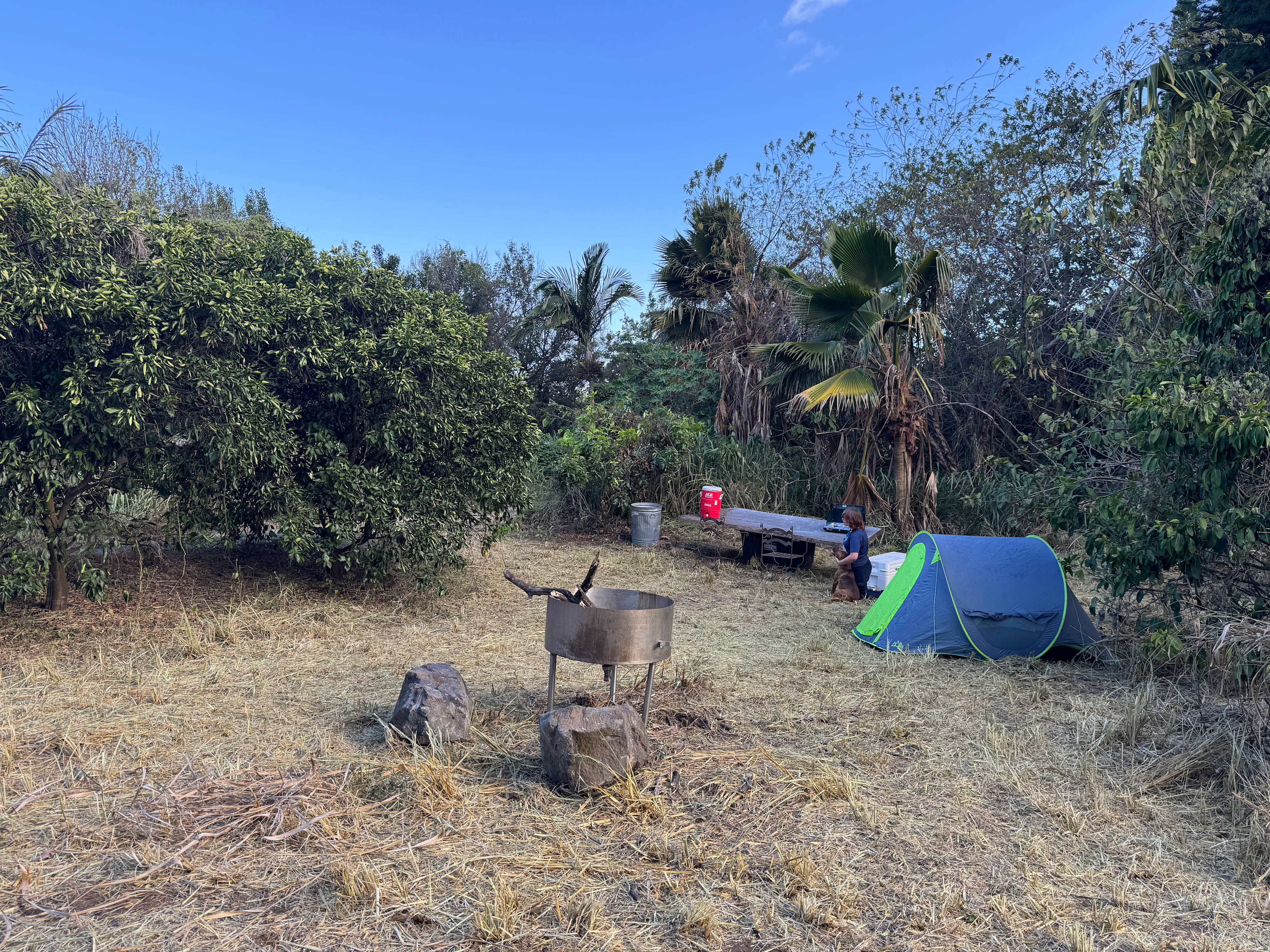 Volcano National Park Orchard Camp