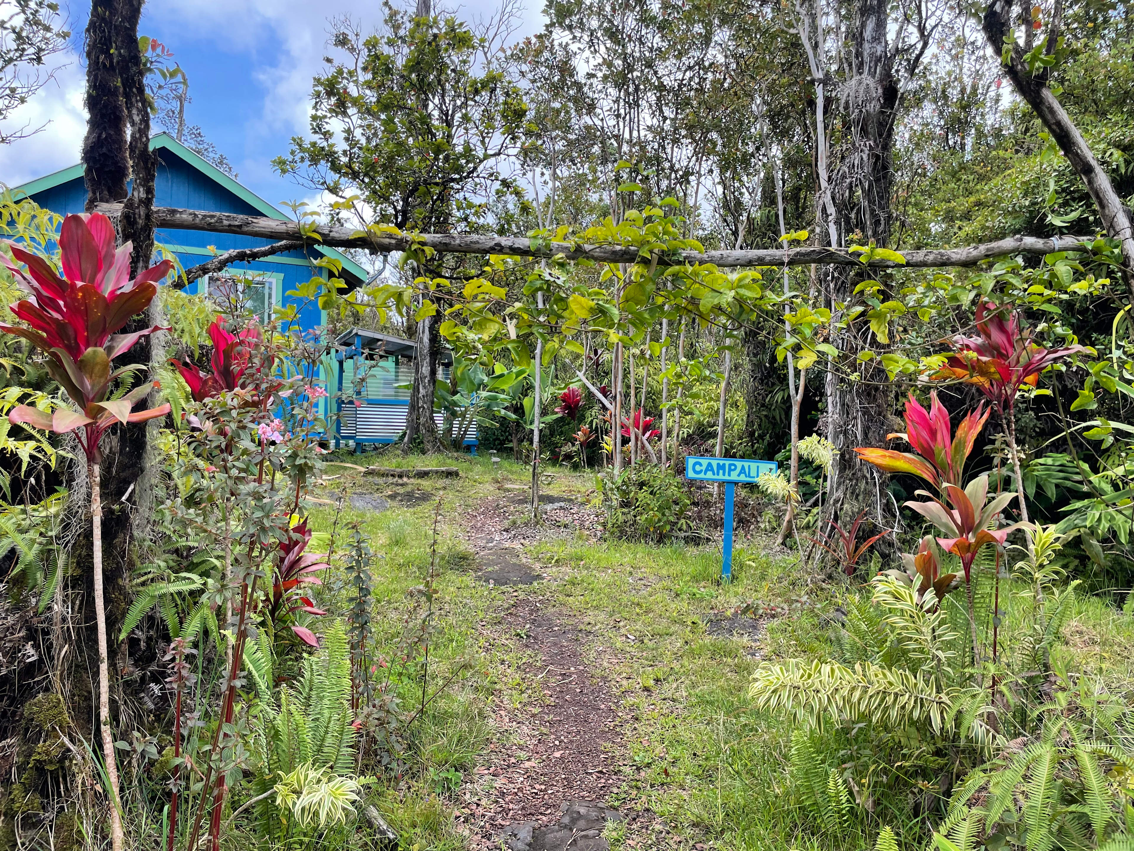 Sacred Mauna Fern Forest Retreat