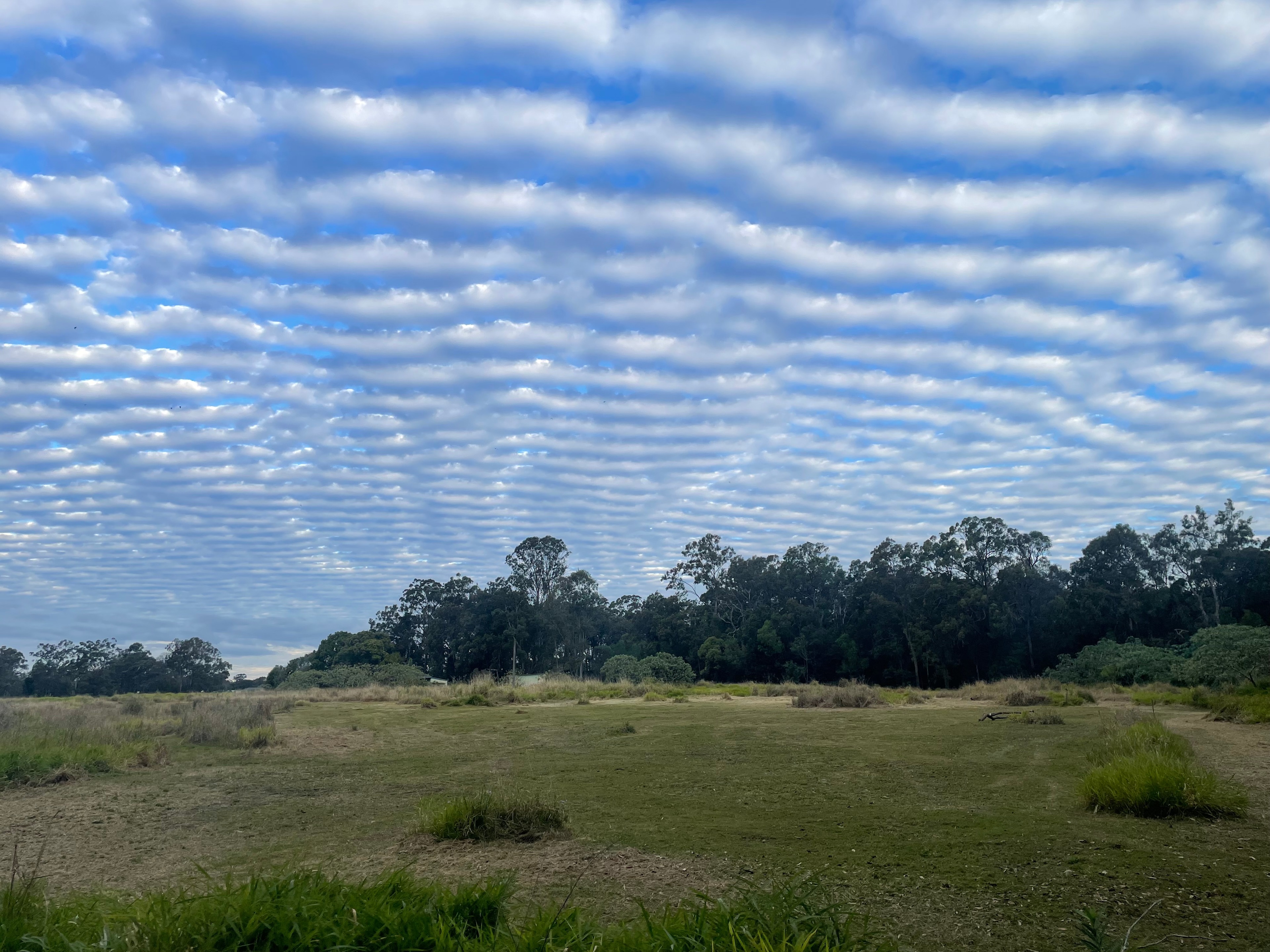 Empyrean Fields Rochedale