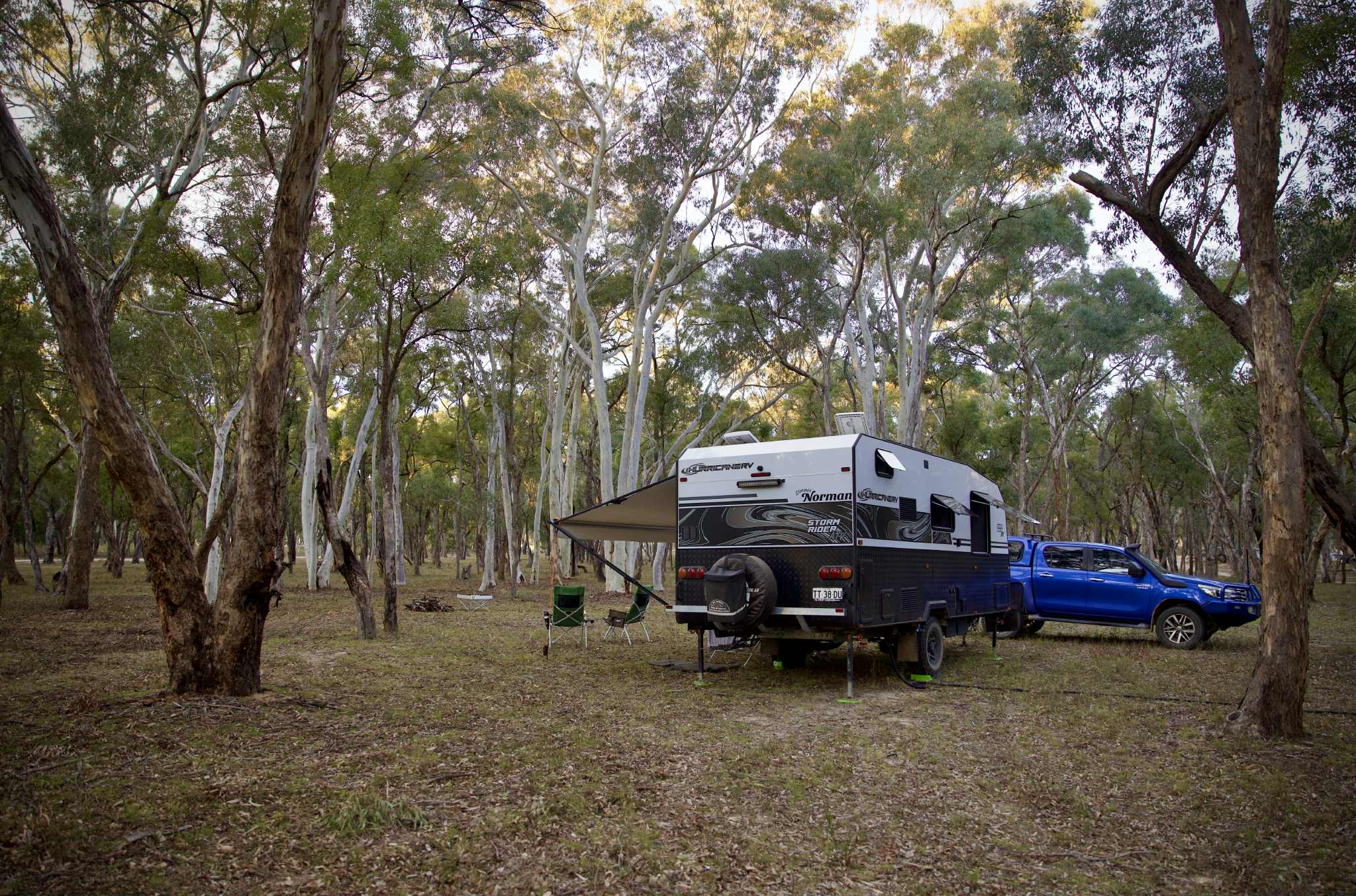 Crazy Critters Sanctuary