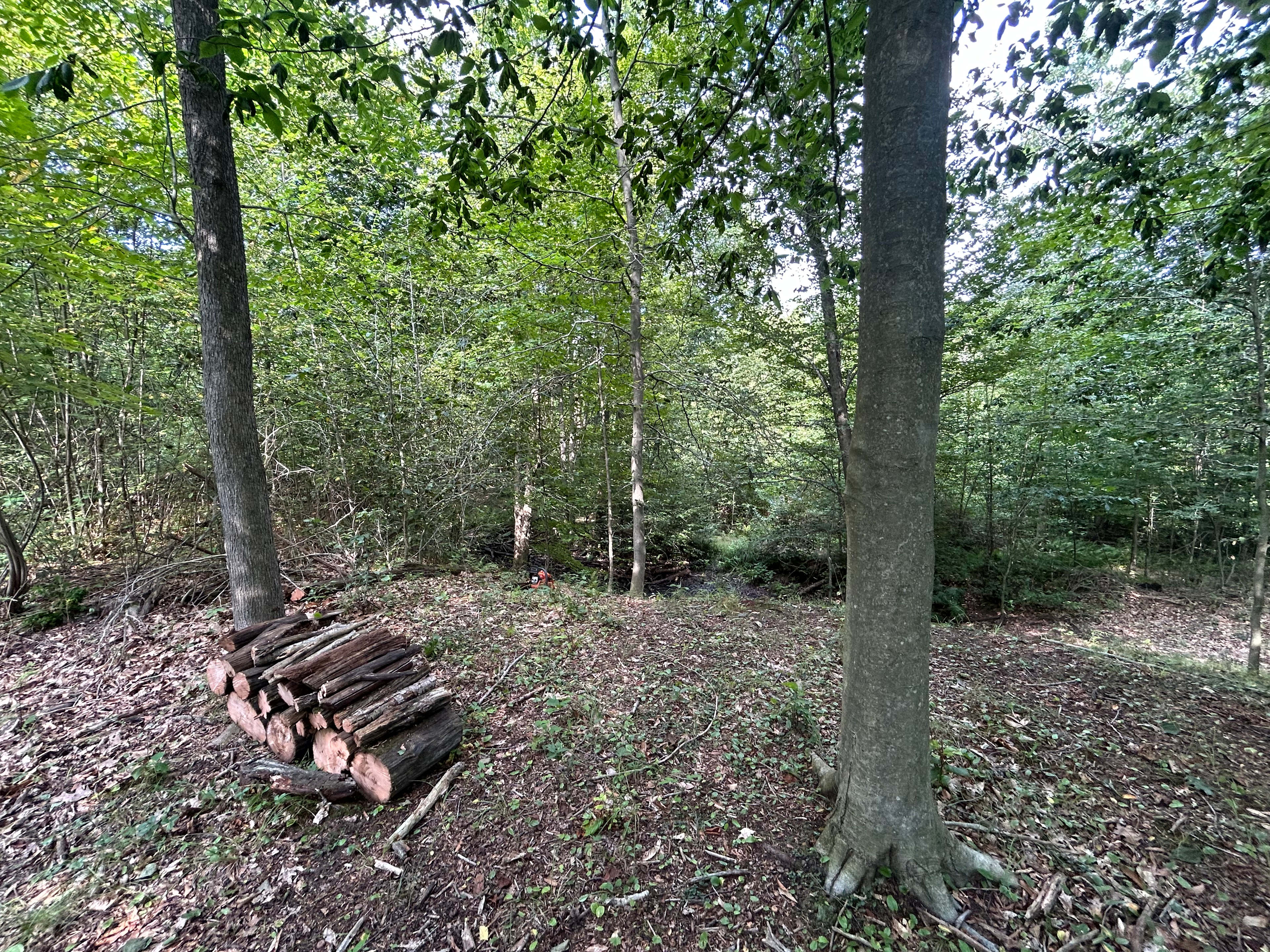 Andover Wilds Outpost