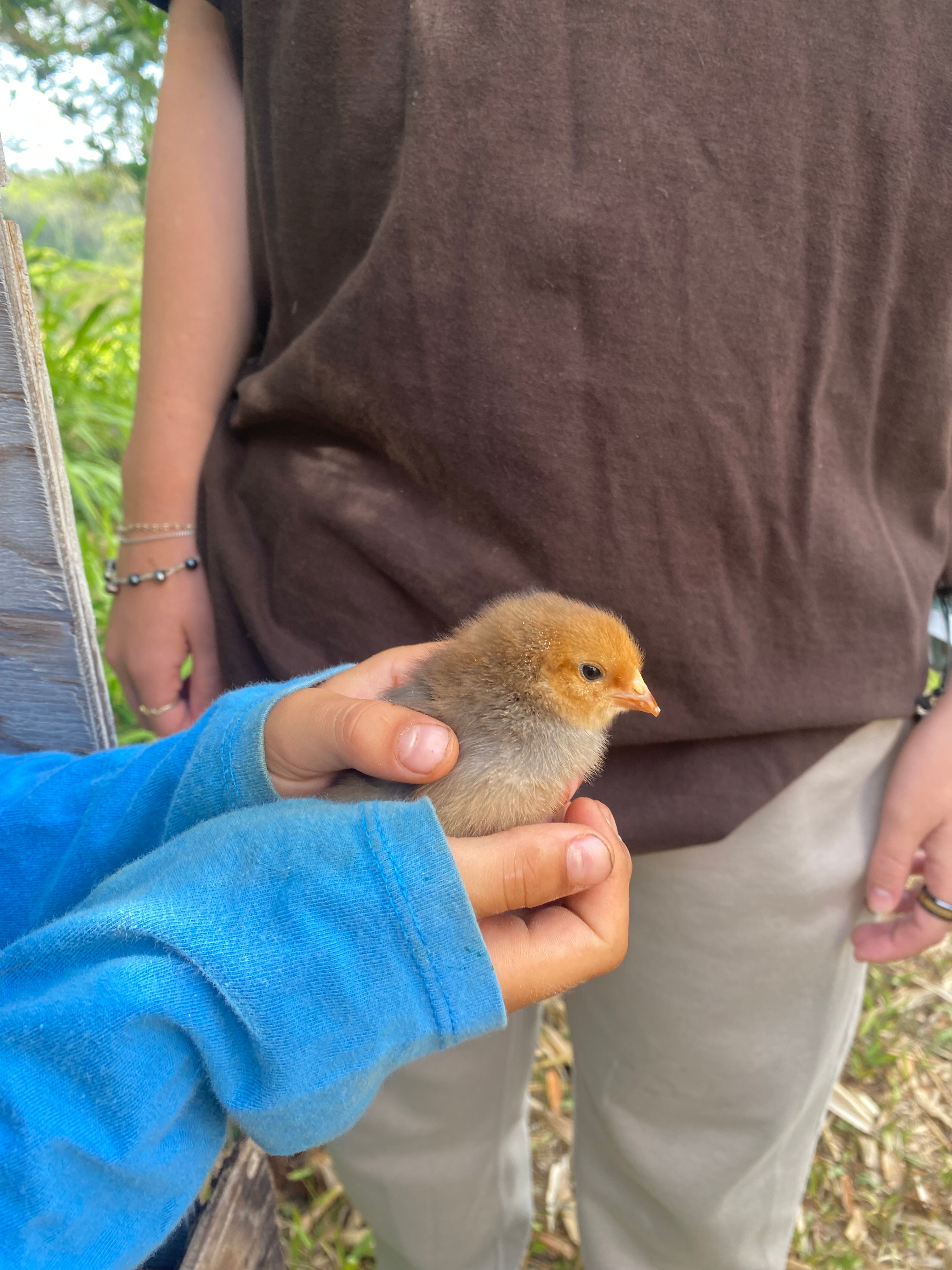 Green Hills Organic Farm