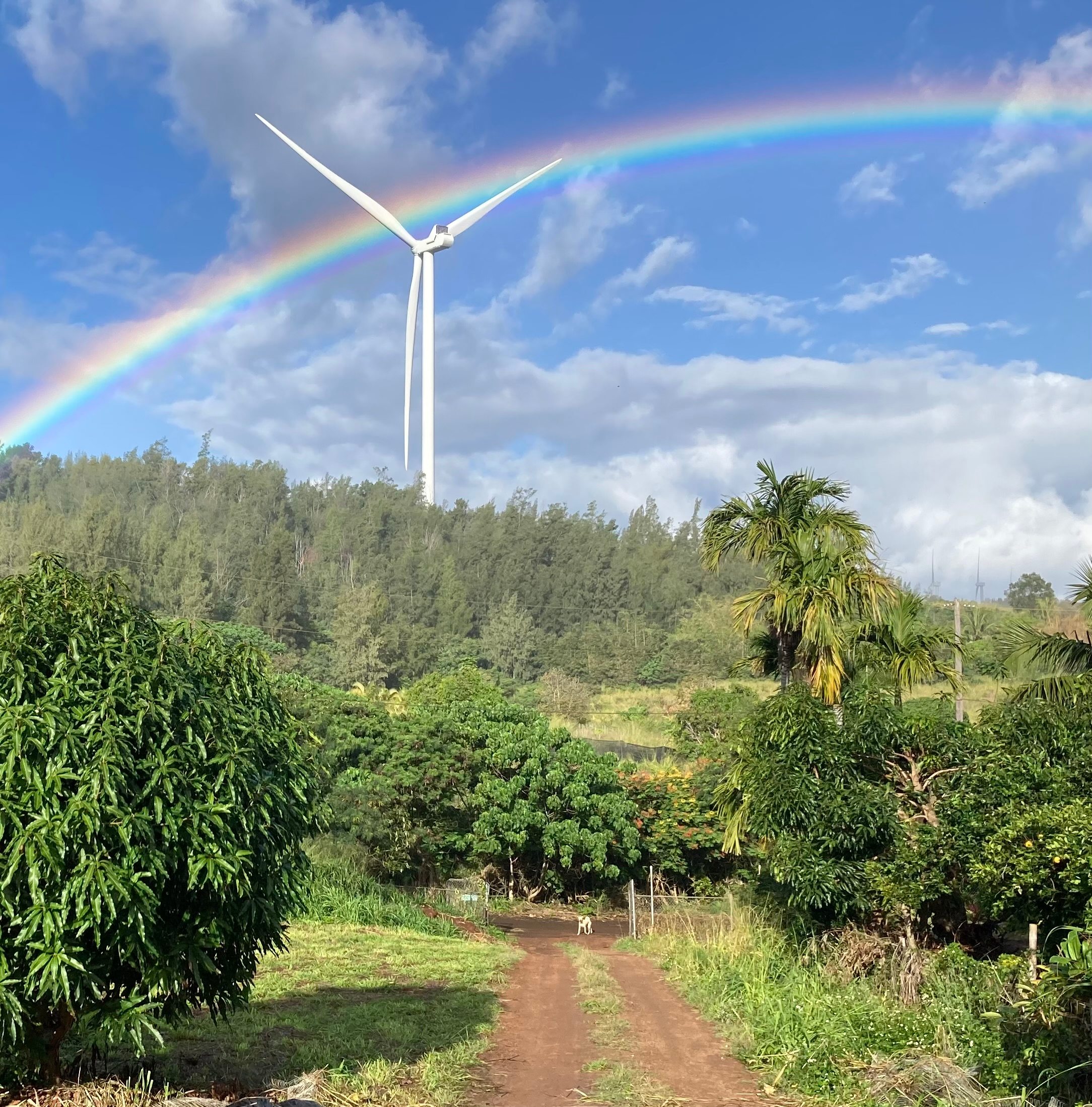 Green Hills Organic Farm