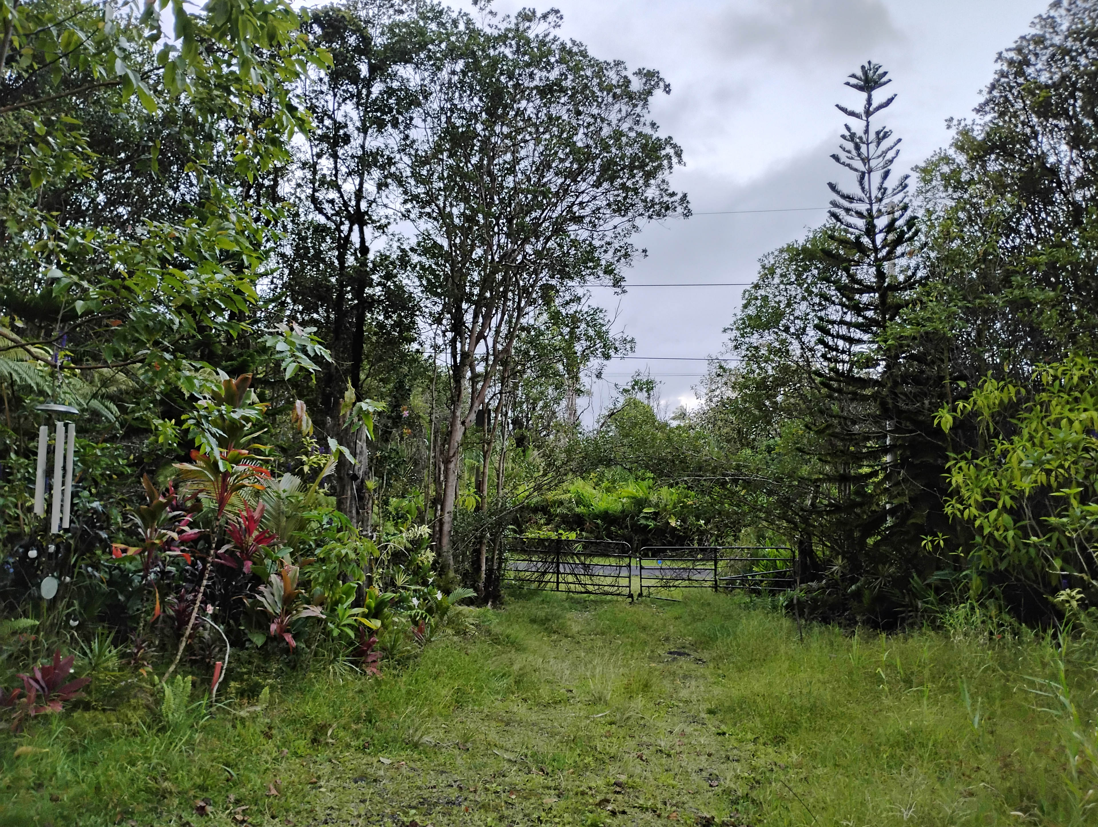 View from inside the gate. Park off of the pavement. On the left. Past this gate.