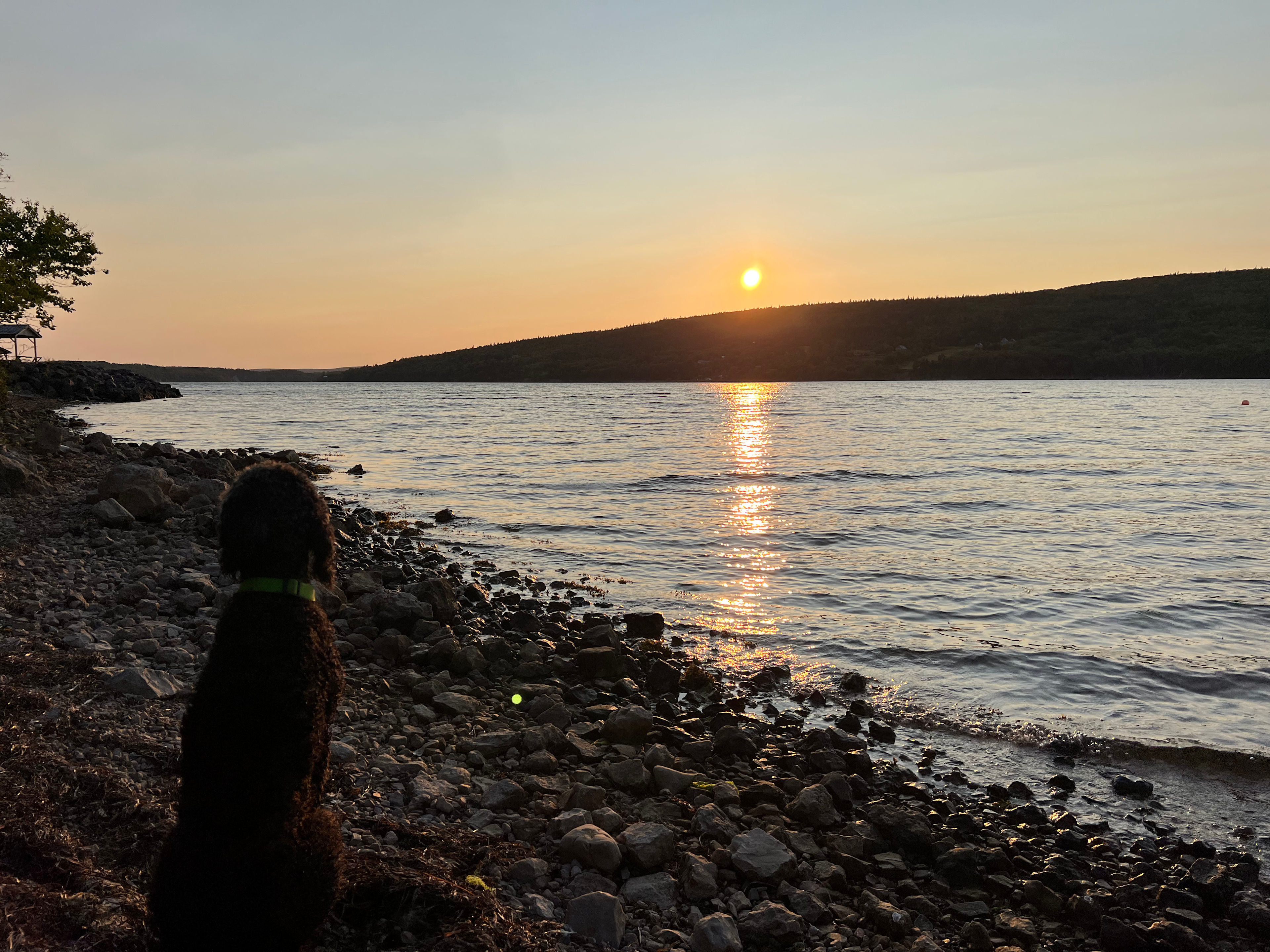 Great Bras D'Or Waterside Camp