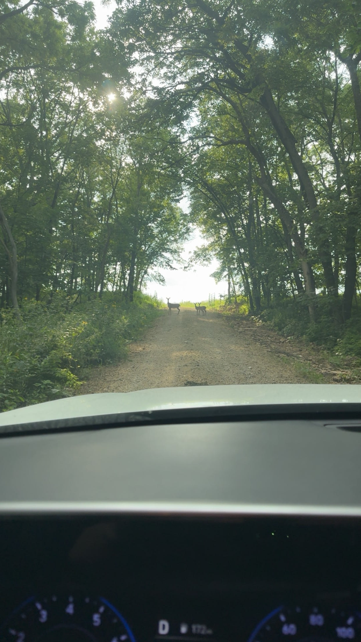 Bollman Bluffs River Camp