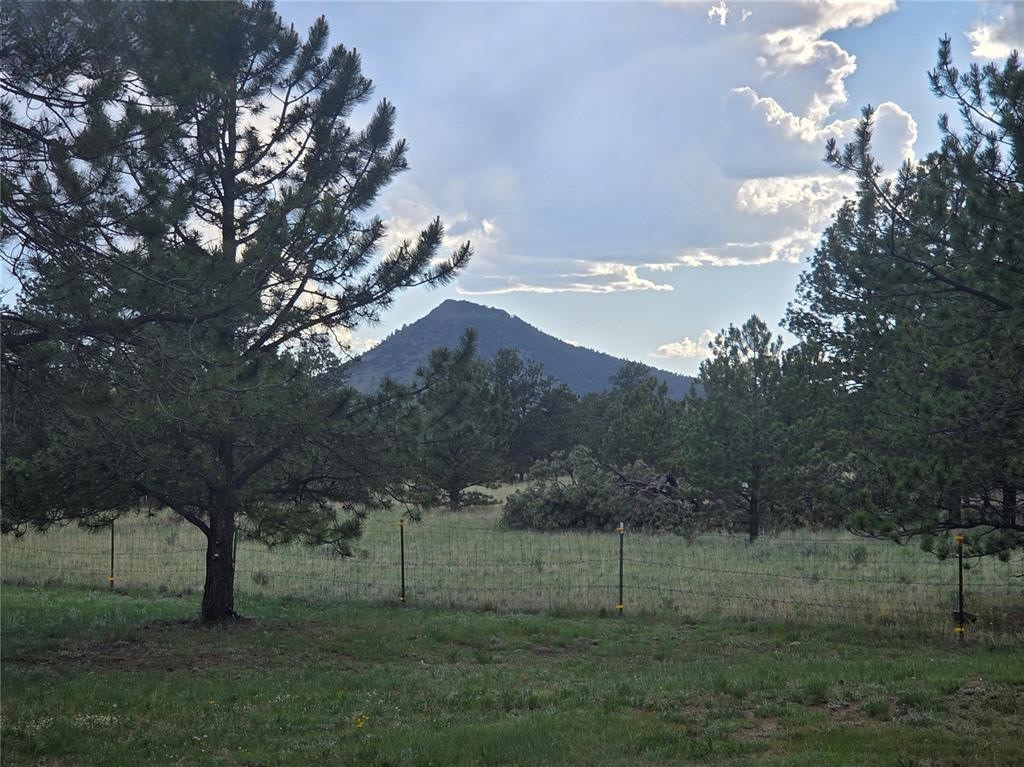 Cozy 3-Bed Guffey Haven W/ Views