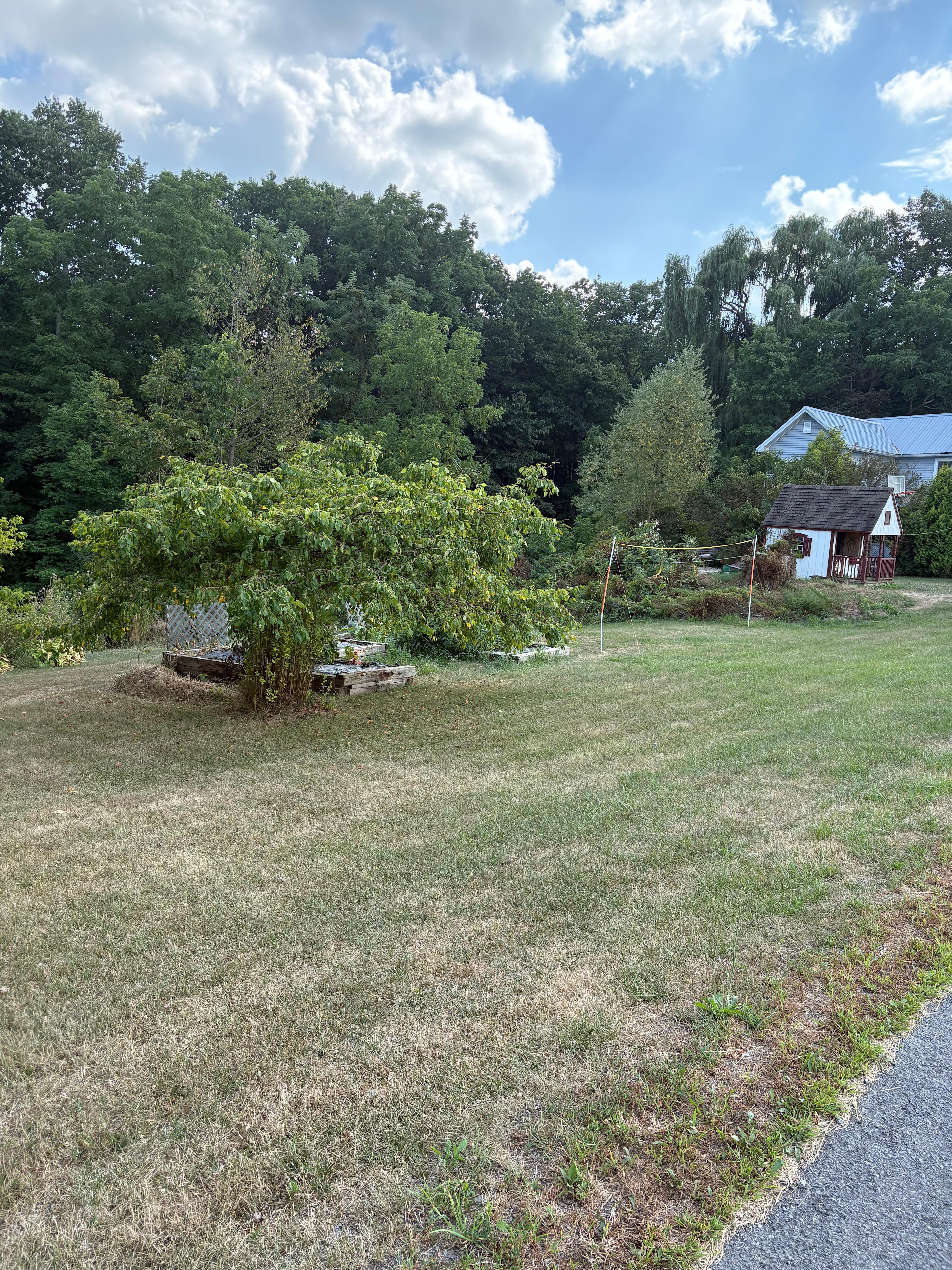 Melanie’s Land and Ravine and Creek