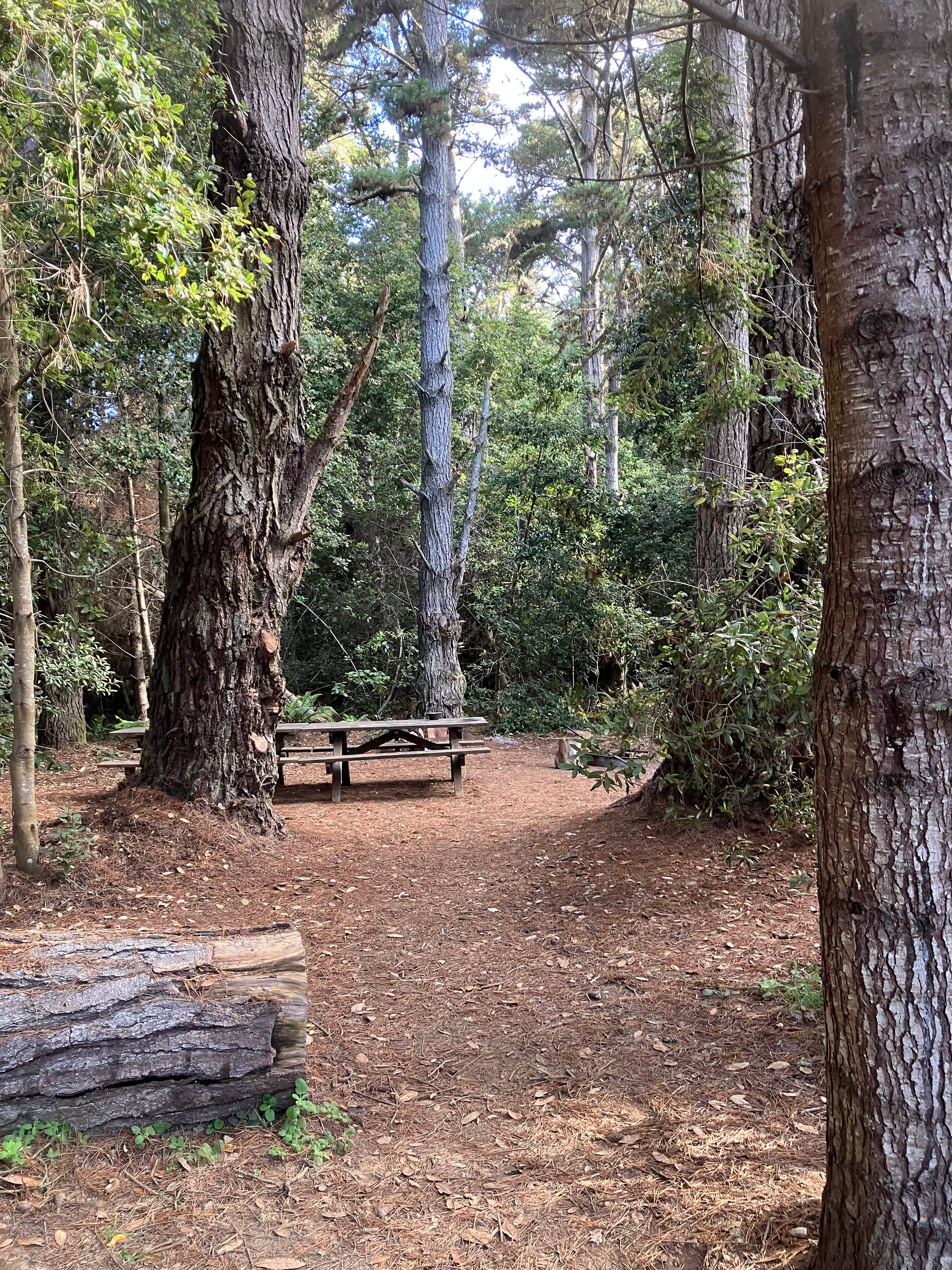 Devil's Gulch Group Campground