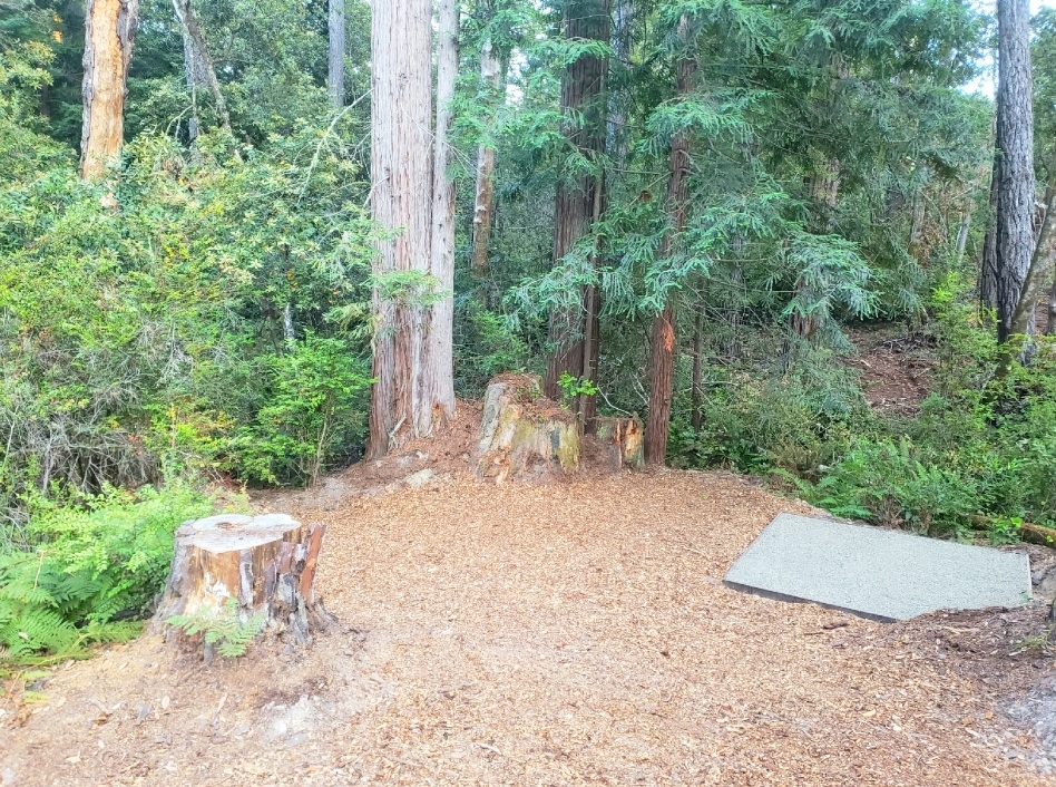 Huckleberry Hideaway•Redwood Ridge