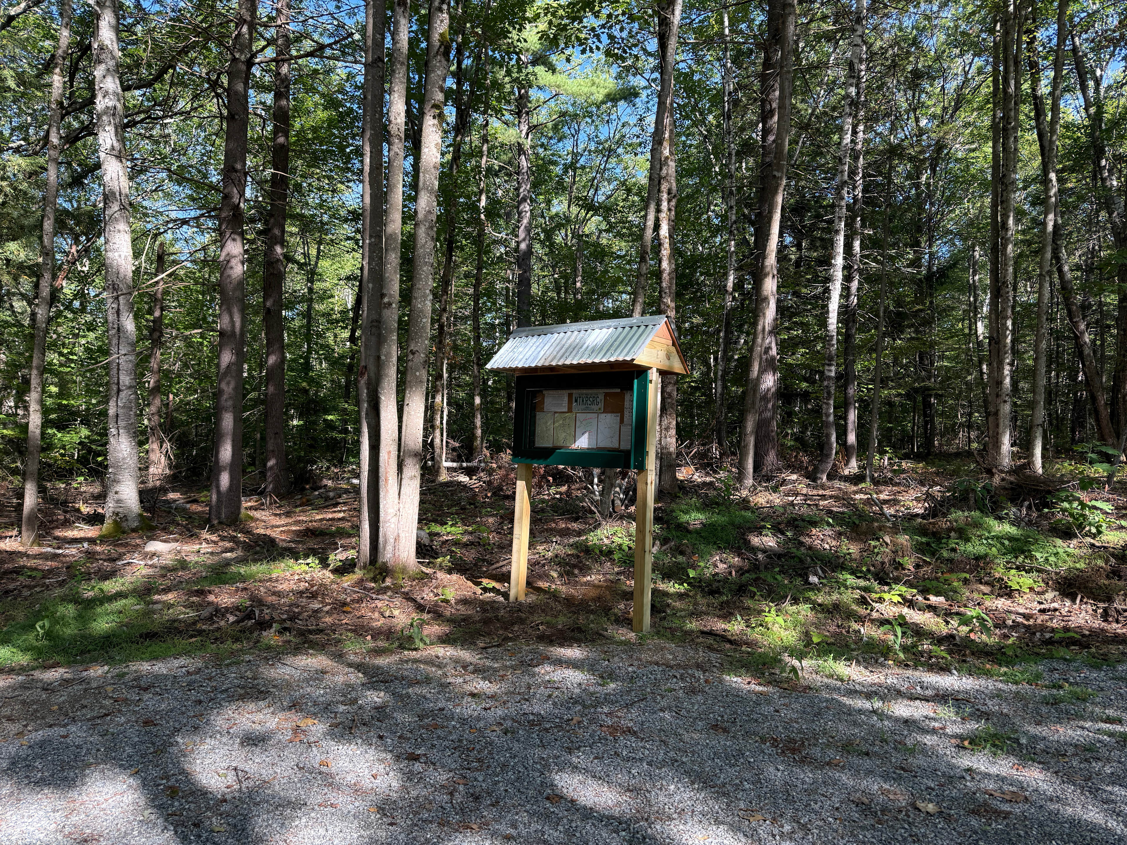 Watkins Woods on Mt Kearsarge Warner NH