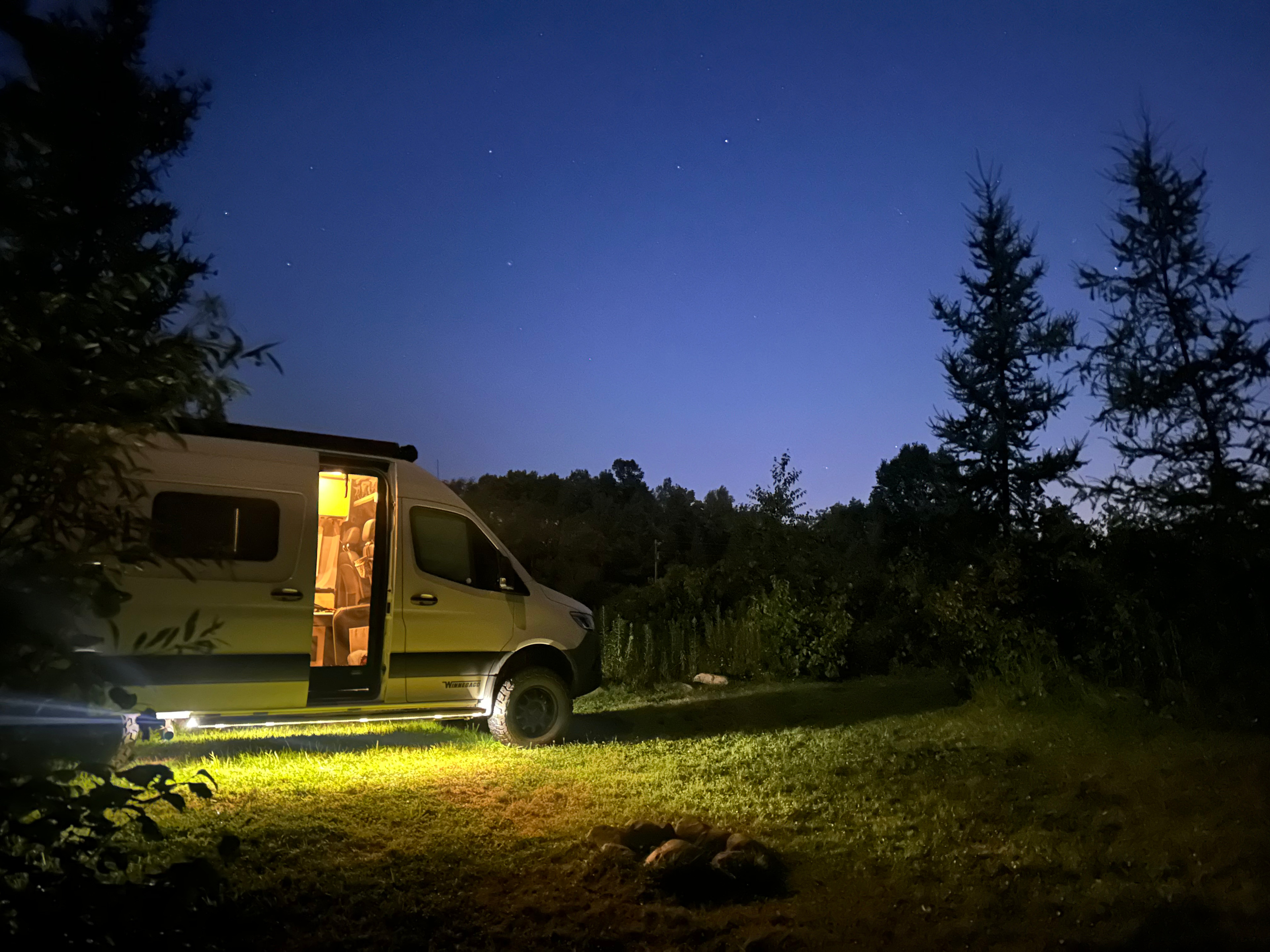 Hidden Pines