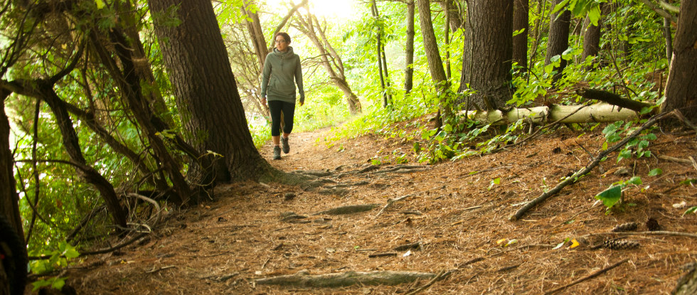 Farm Winery Glamping in Norfolk