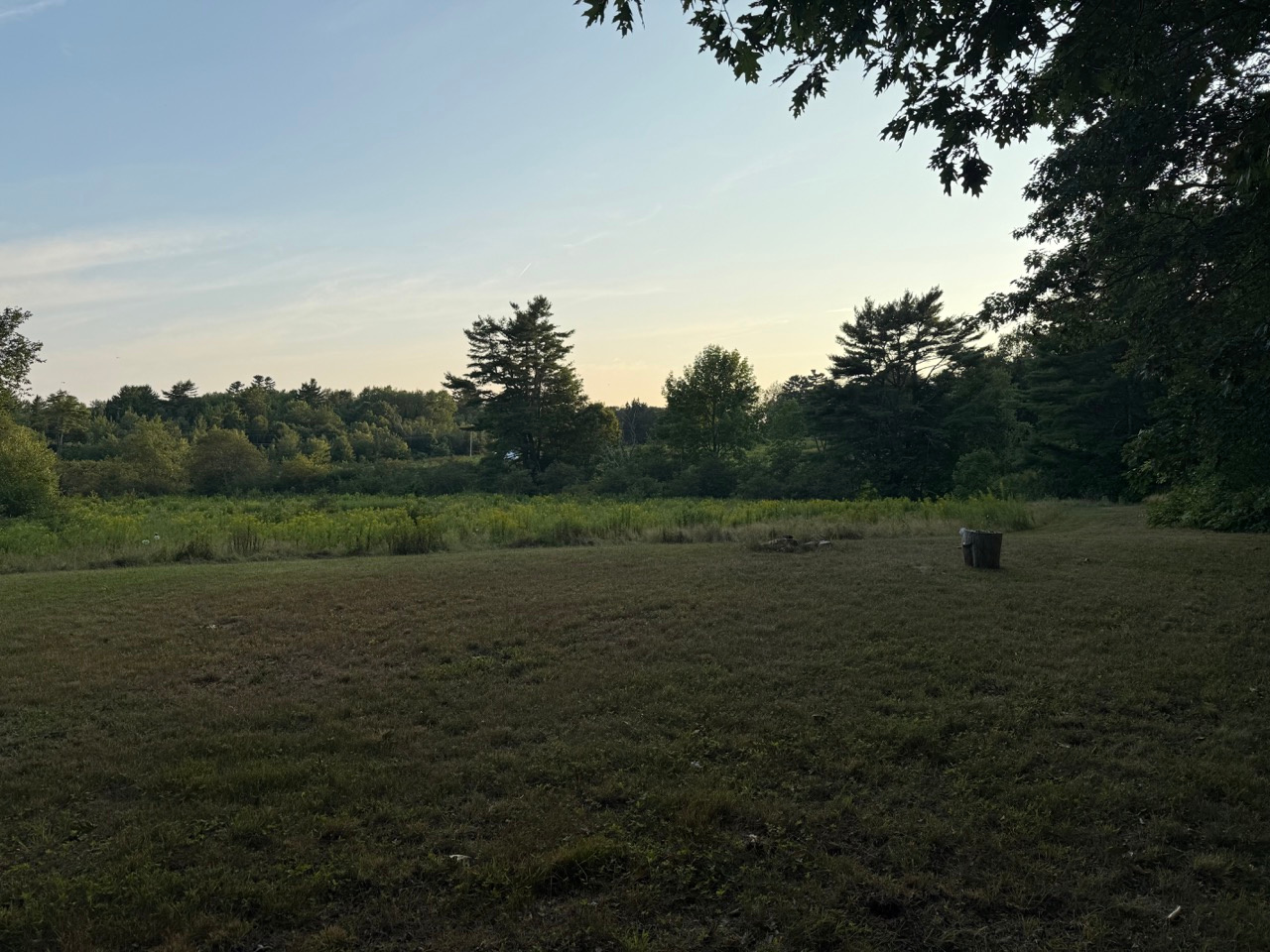 This is the site. Wide open field with a mowed area for camping and a fire pit. 