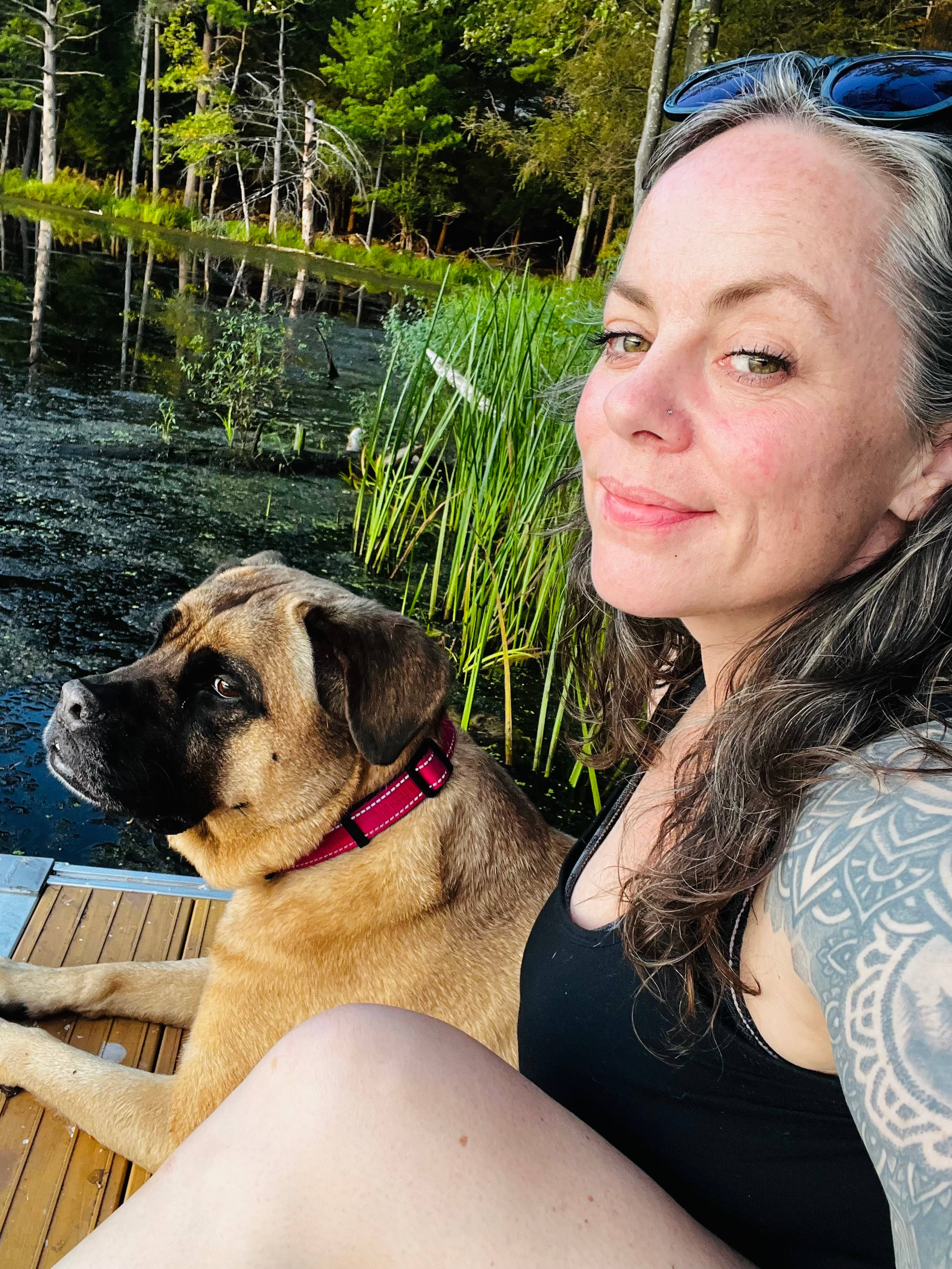 The Dam House At Beaver Pond