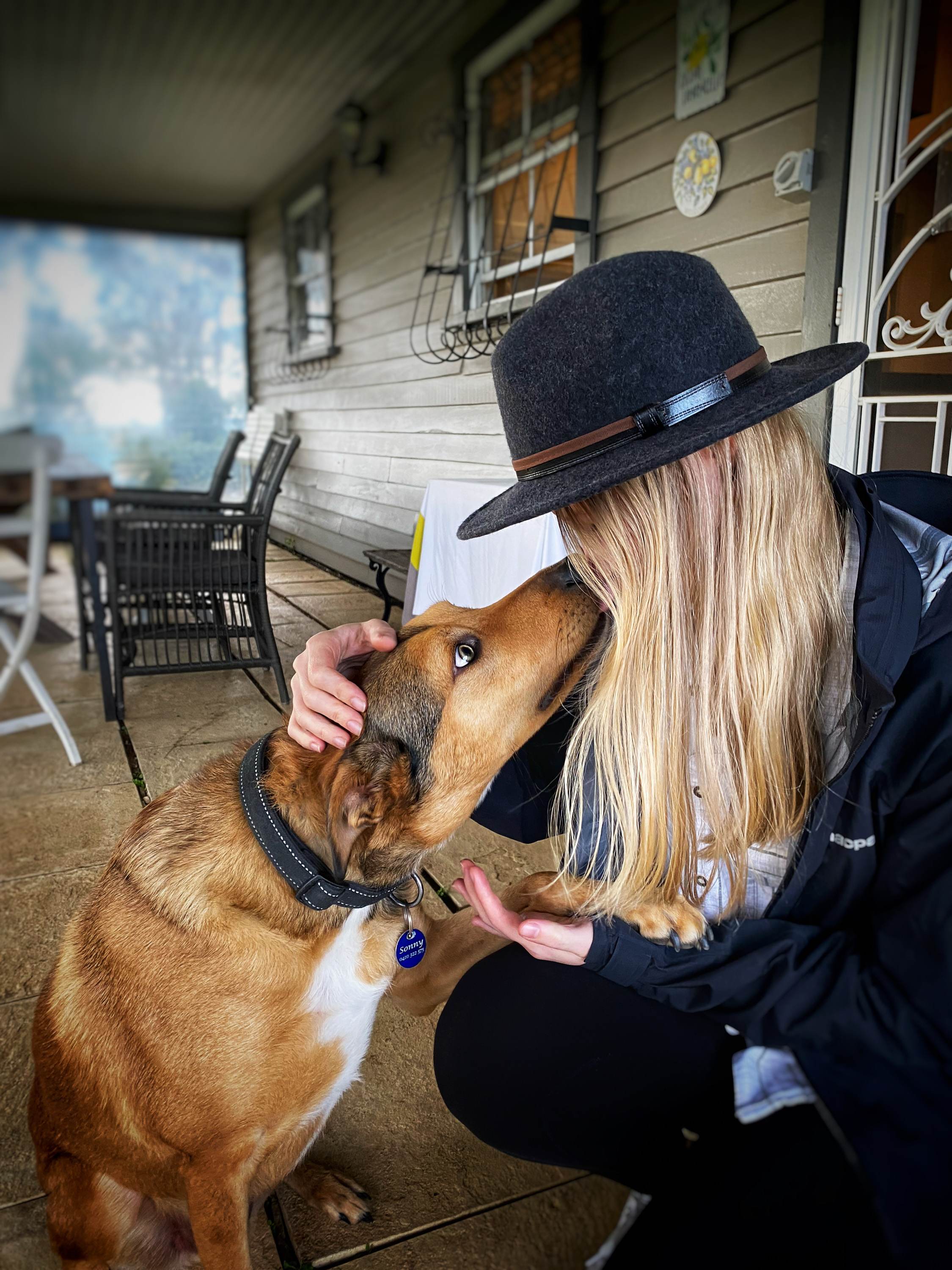 Sonny the farm dog will have you wrapped around is dewclaw for pats. What a sweet and gentle soul