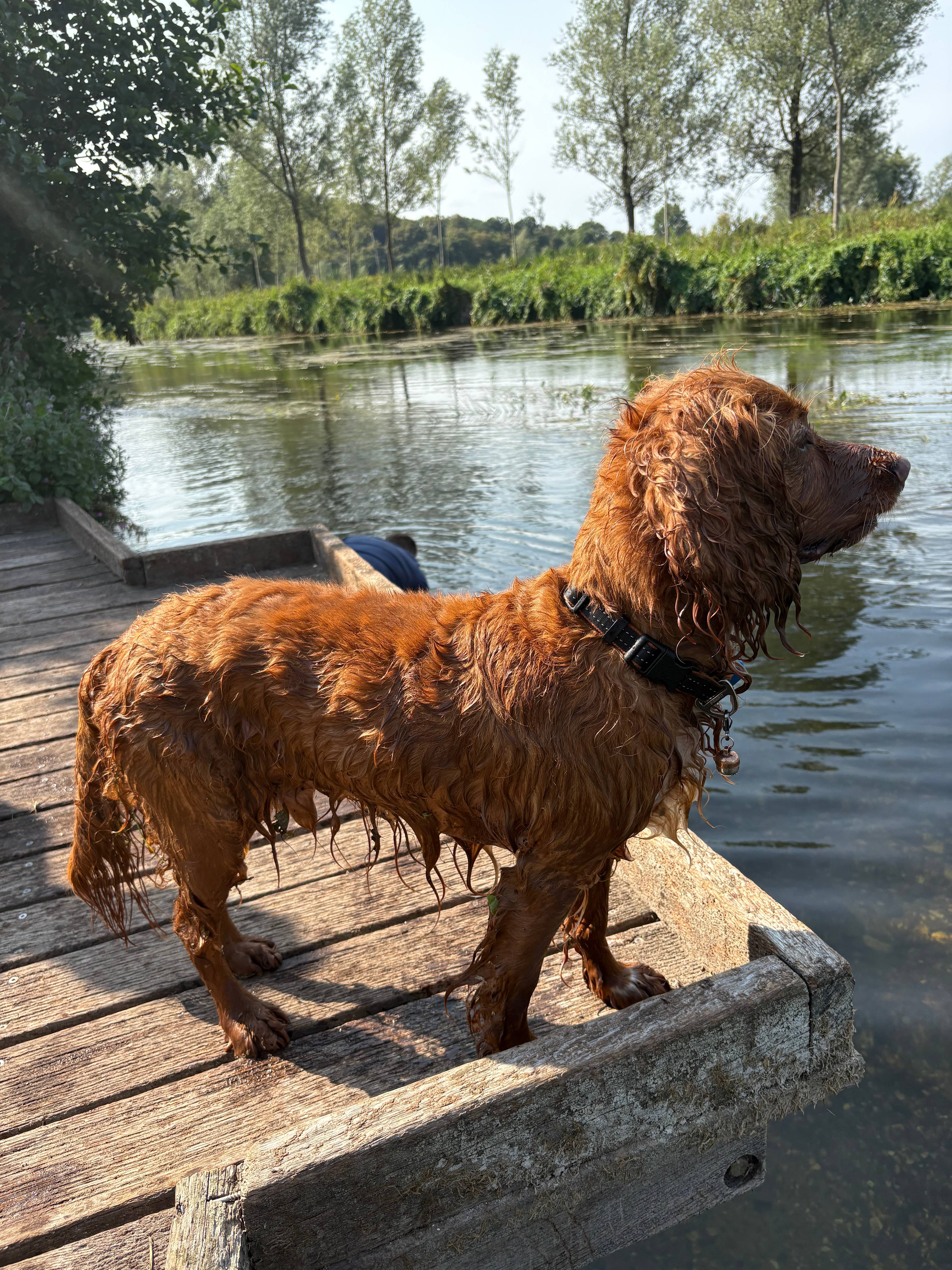 Croft Cottage Camping