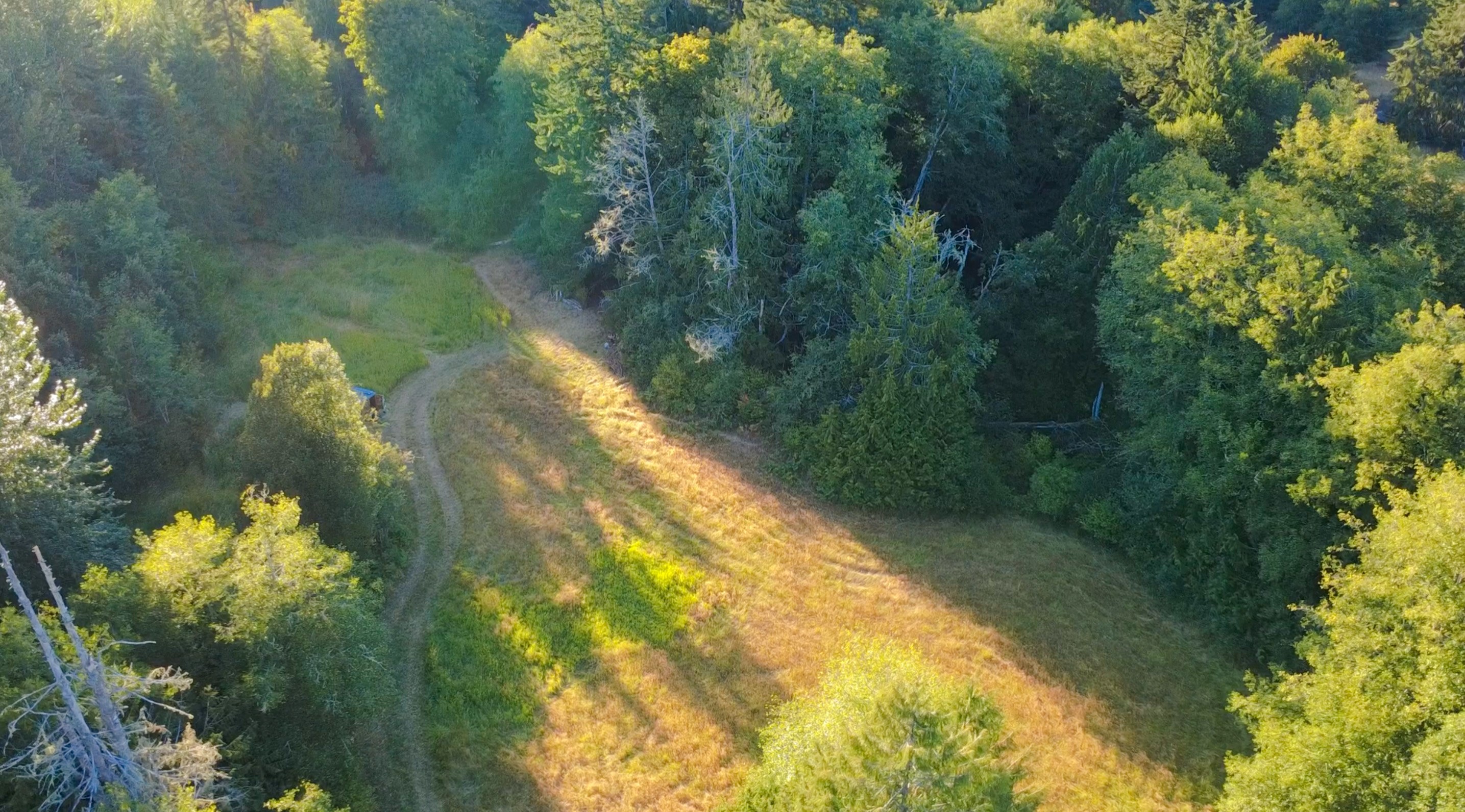 Aerial view of Everland and Daisy's Meadow.