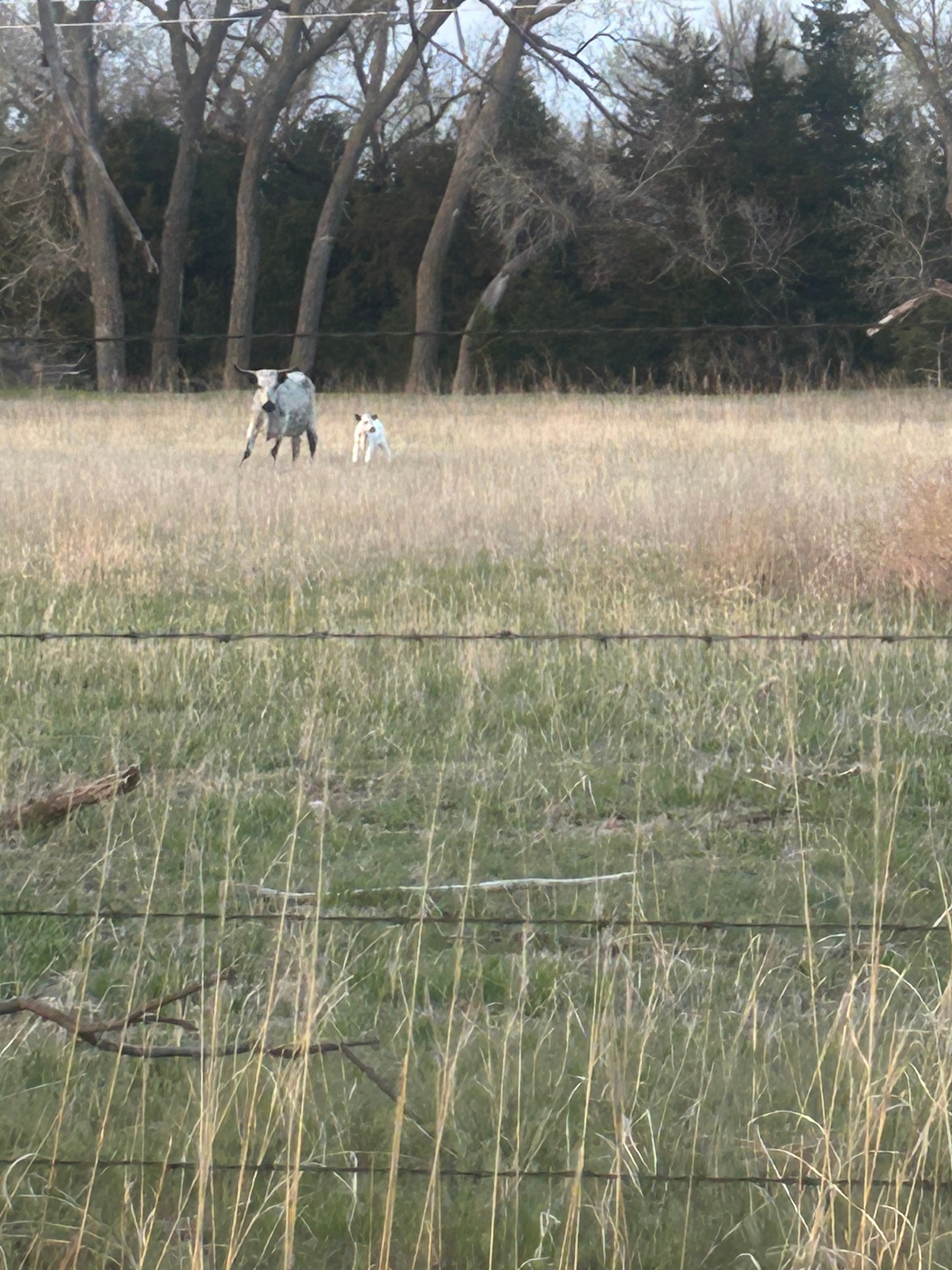 I-80 Ranch Layover – Brady, NE