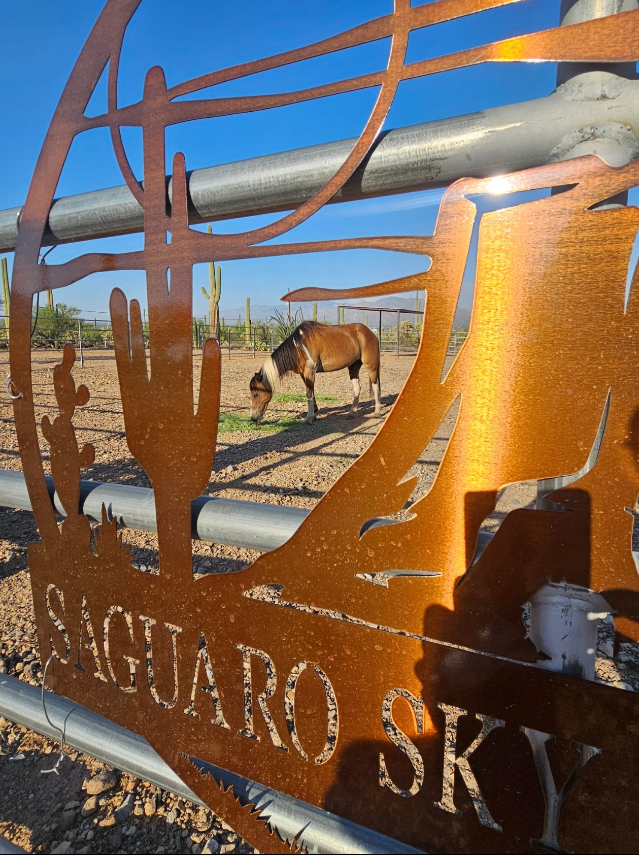 Saguaro  Sky Ranch and Retreat