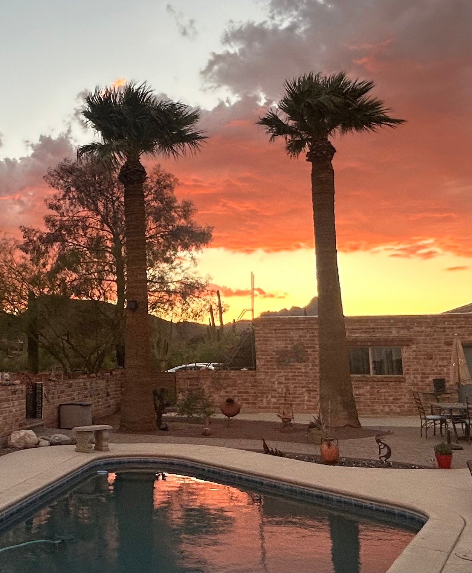 Saguaro  Sky Ranch