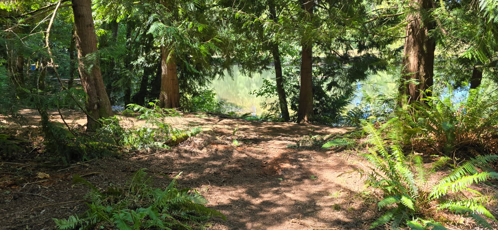 Cedar Hollow