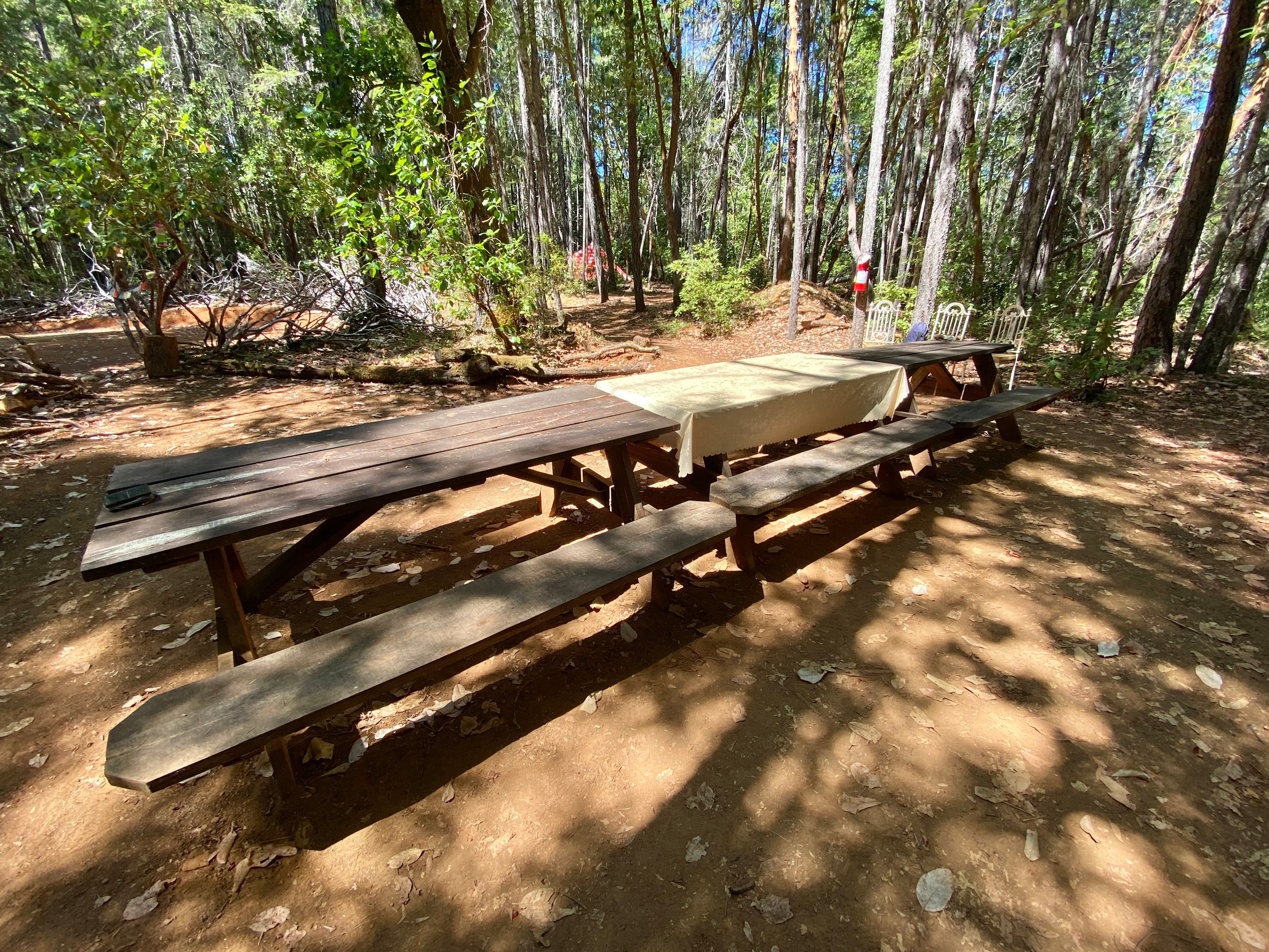 Our handmade picnic tables harvested and milled on our land!