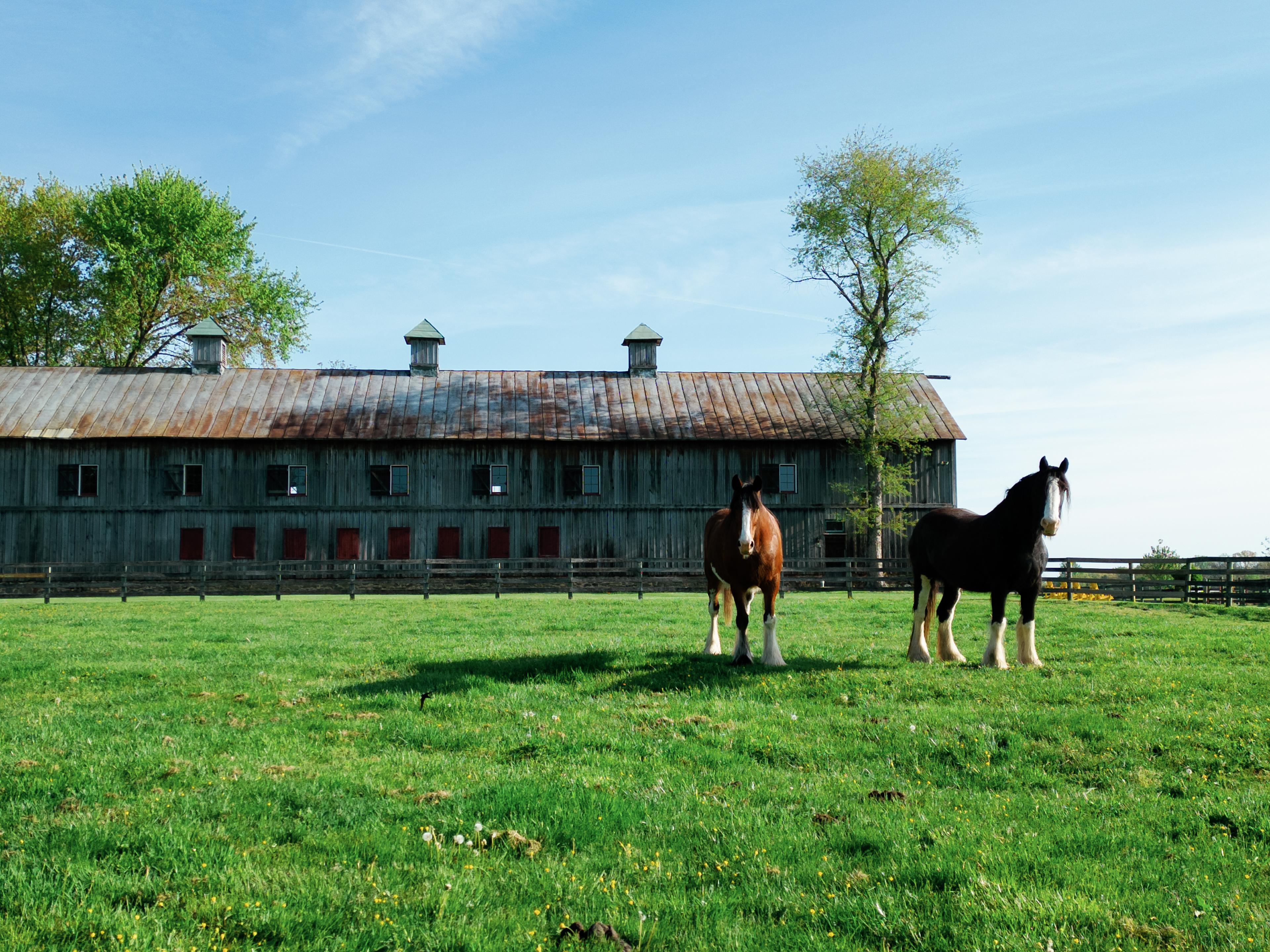 Sylvanside Farm Quiet Starry Nights