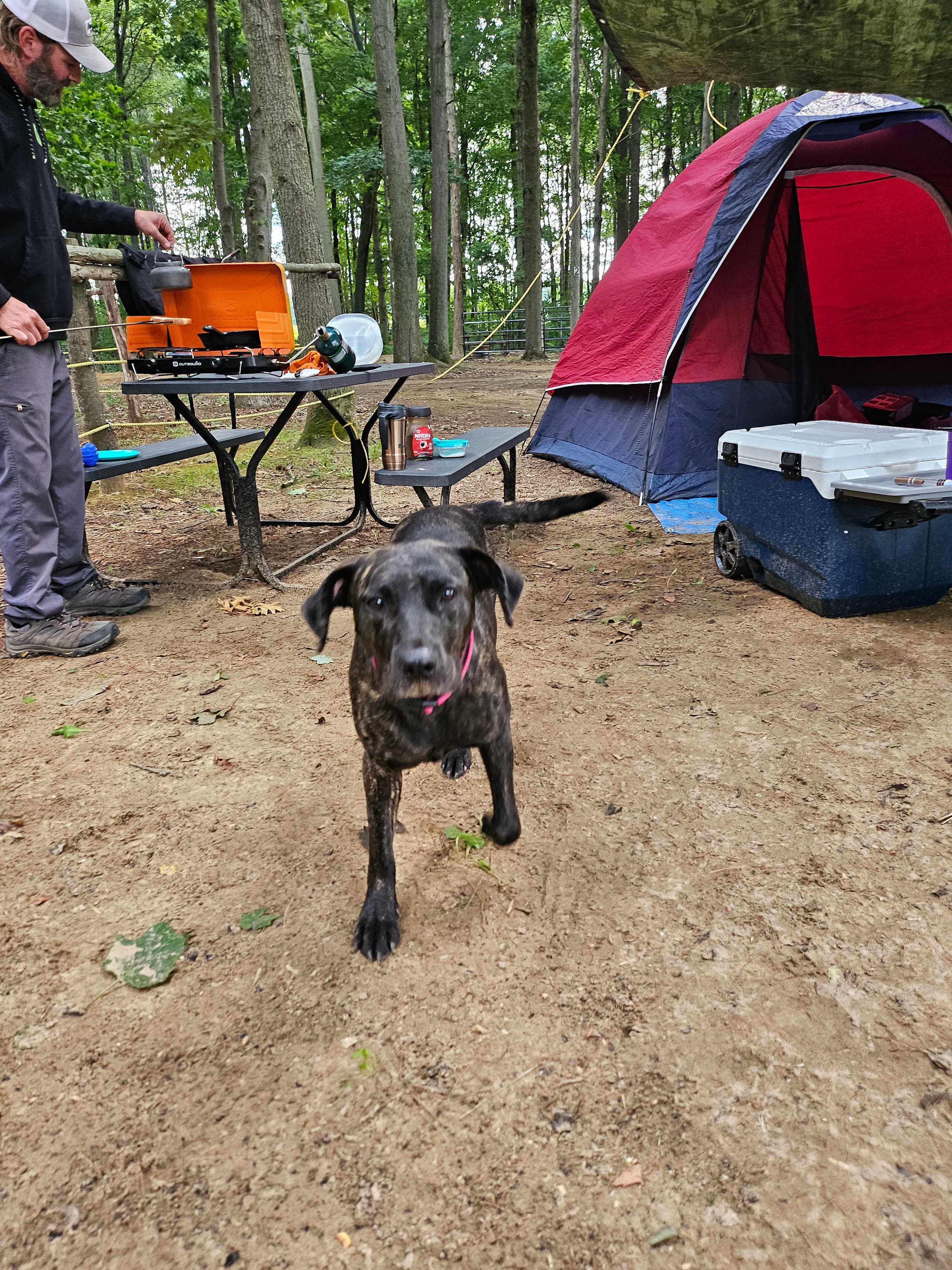 Oakley (The friendly morning greeter)