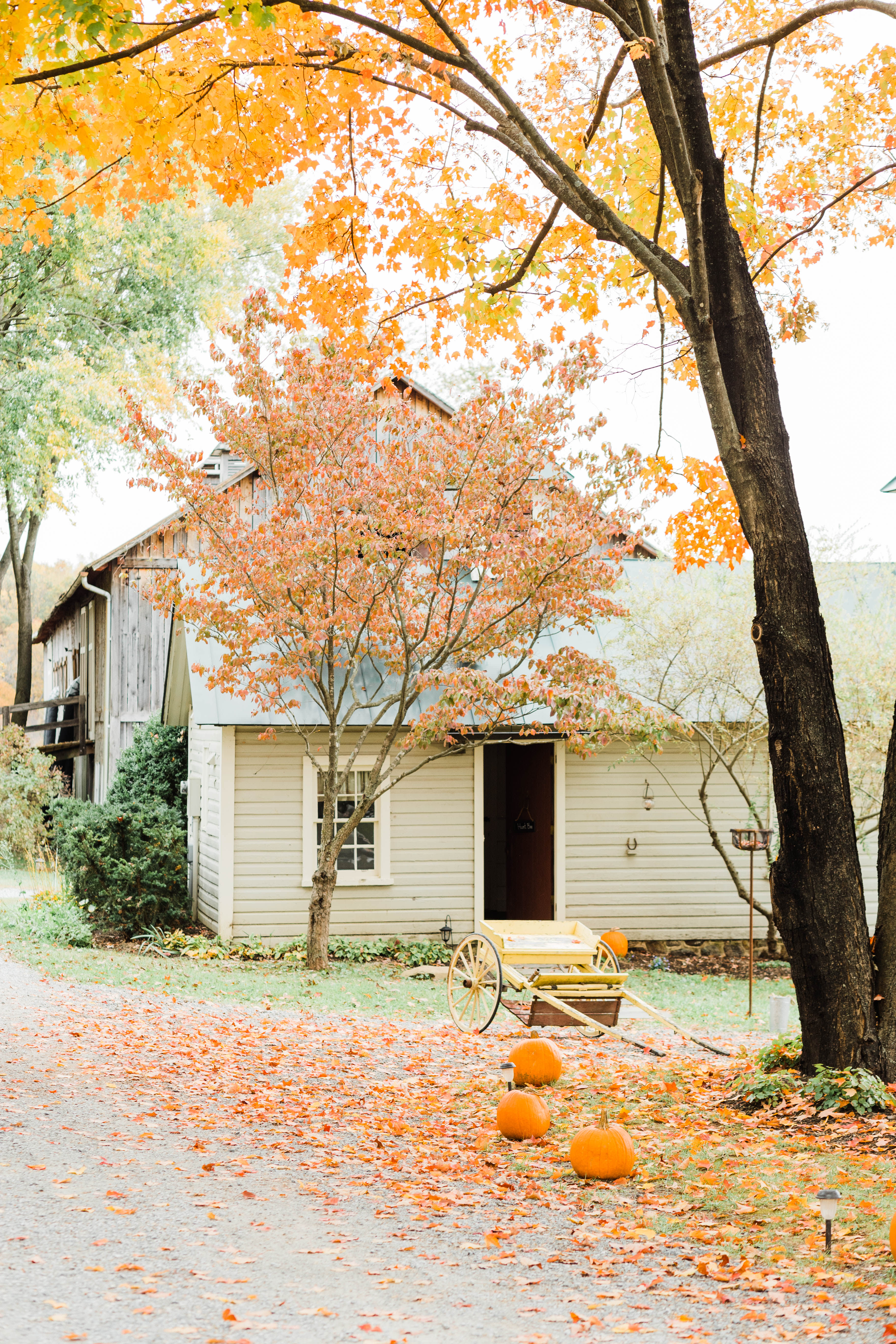 Sylvanside Farm Hunt Box