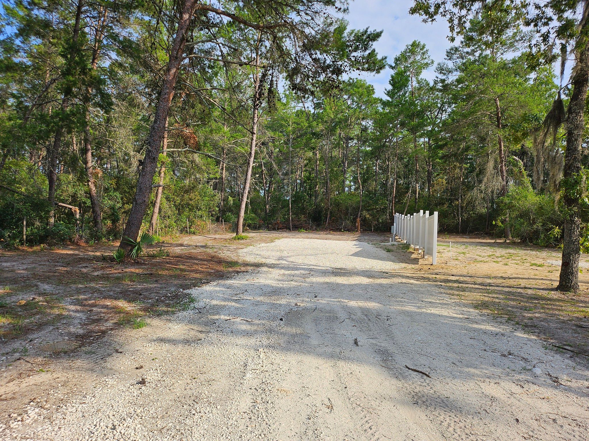 Country setting, Live in the Woods.