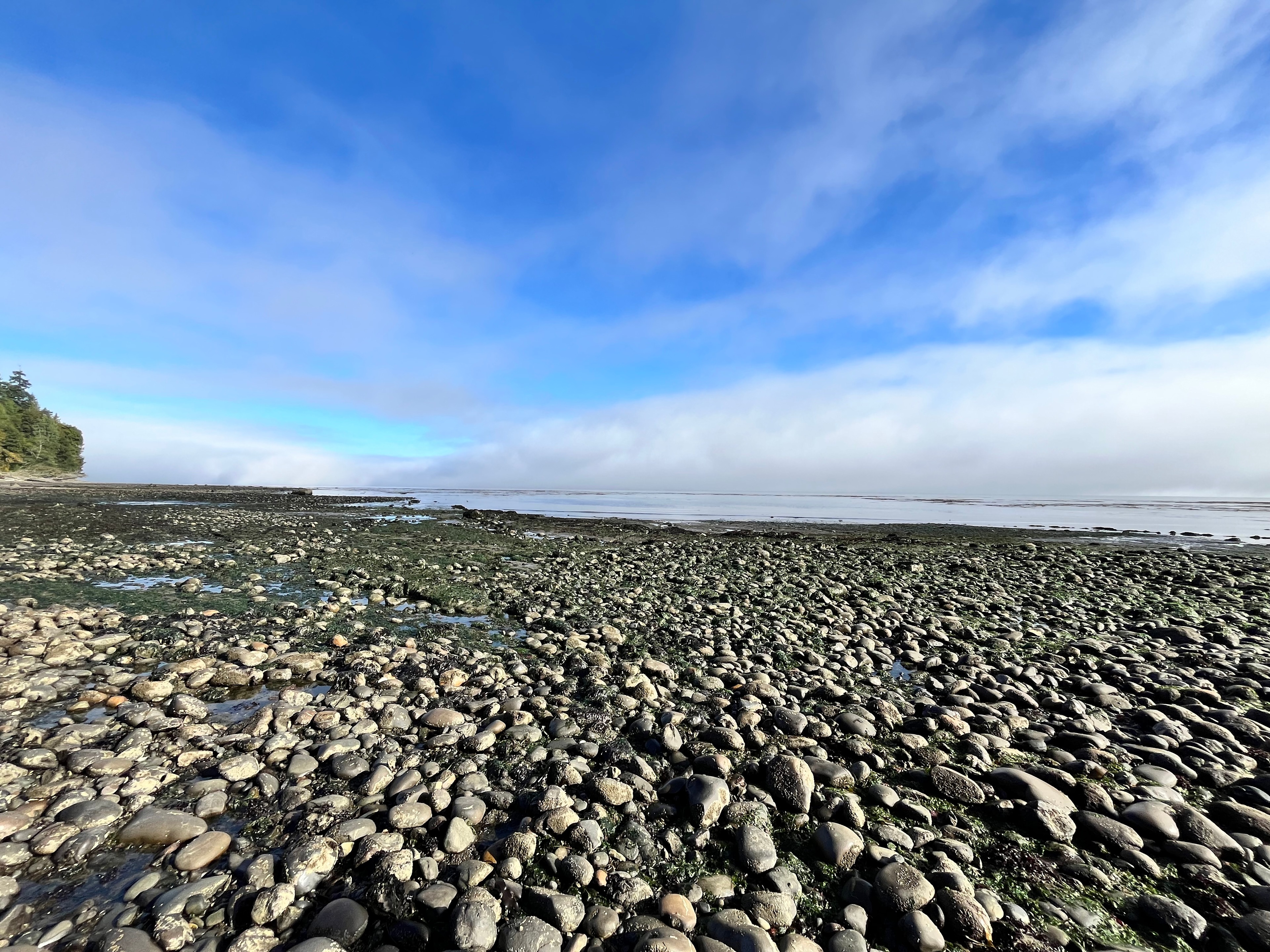 Beautiful  Beachfront