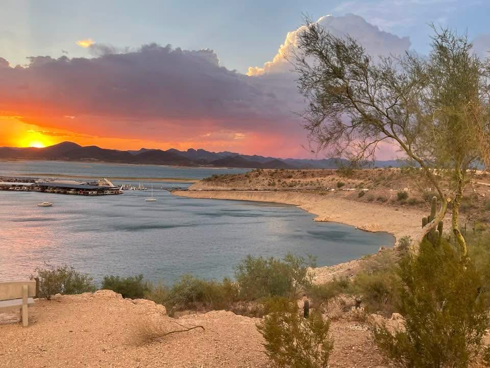 White Whale On The Lake