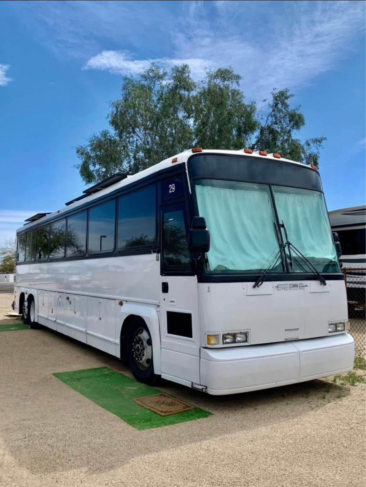 White Whale On The Lake
