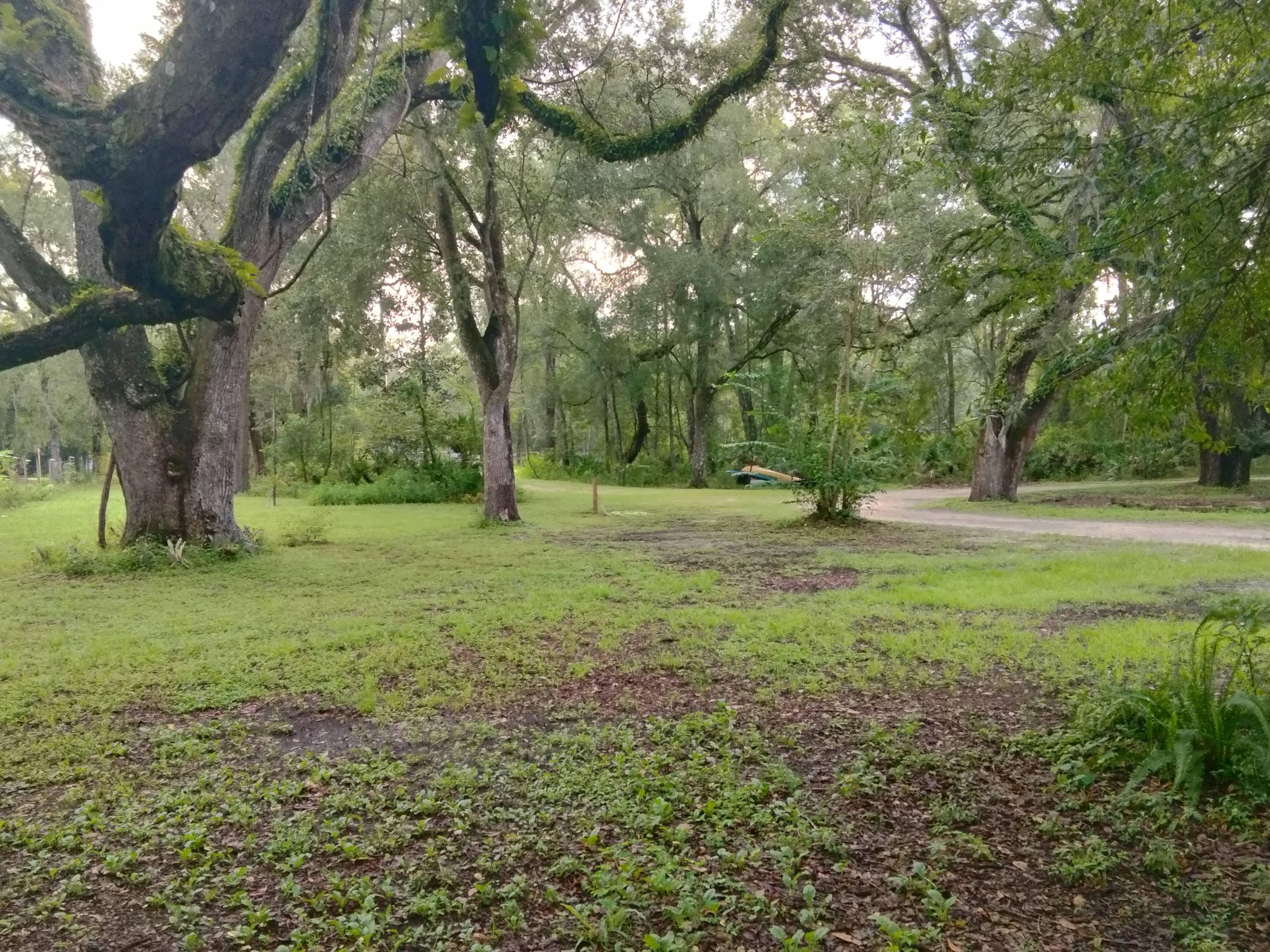 The Inn At The Forest