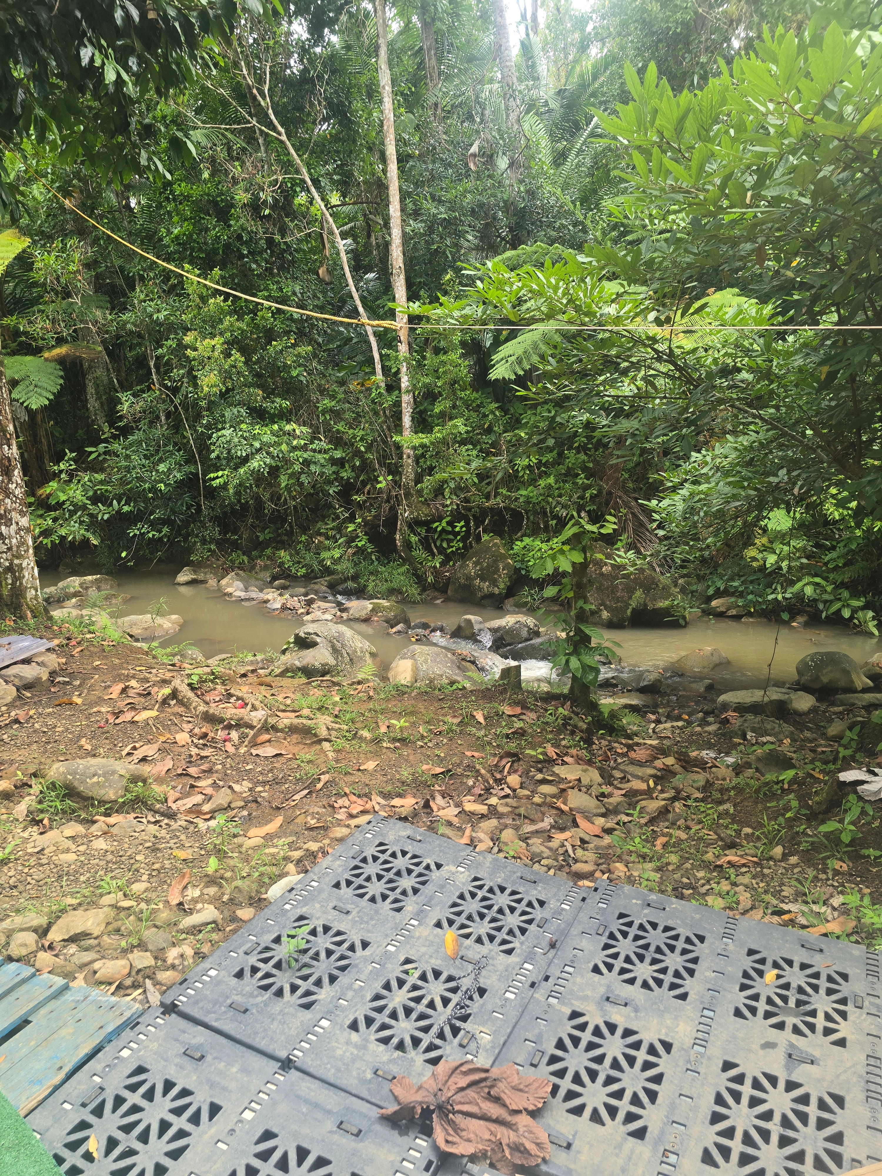 The Singing Rooster Farm And Campground