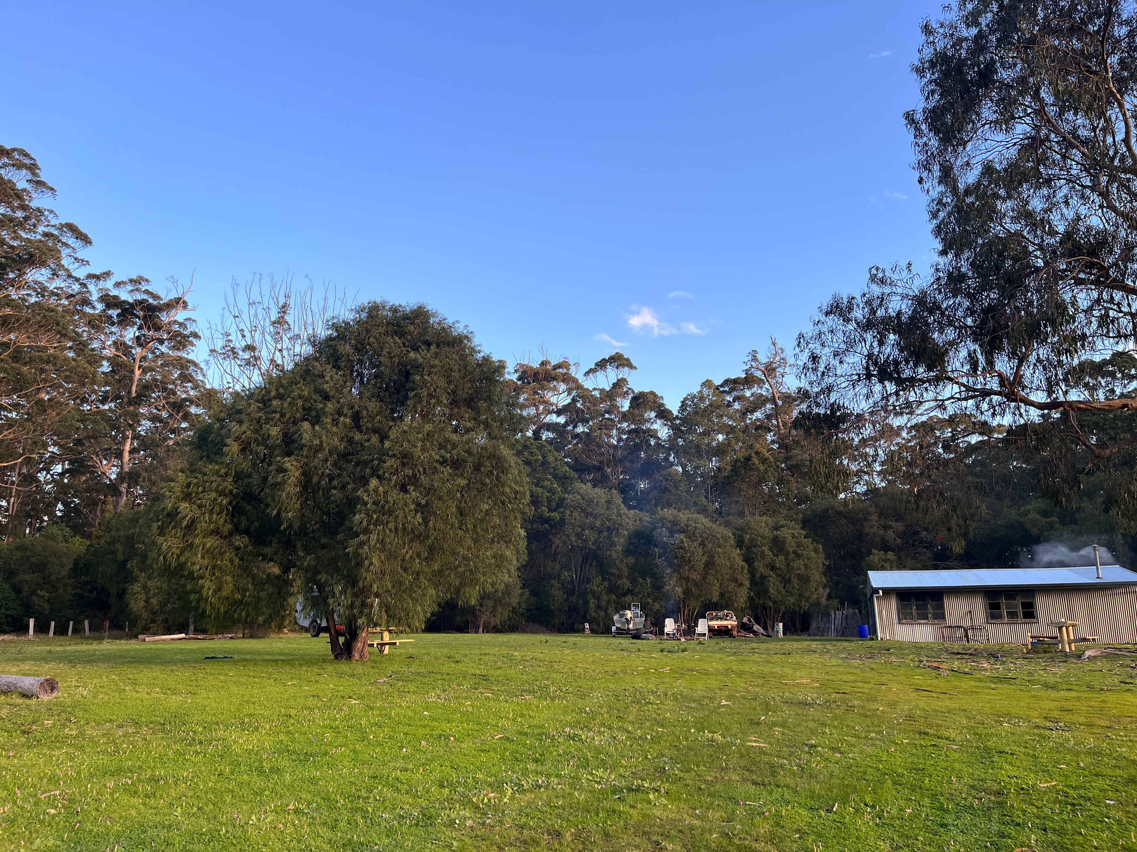 Jaspers Tree Campground