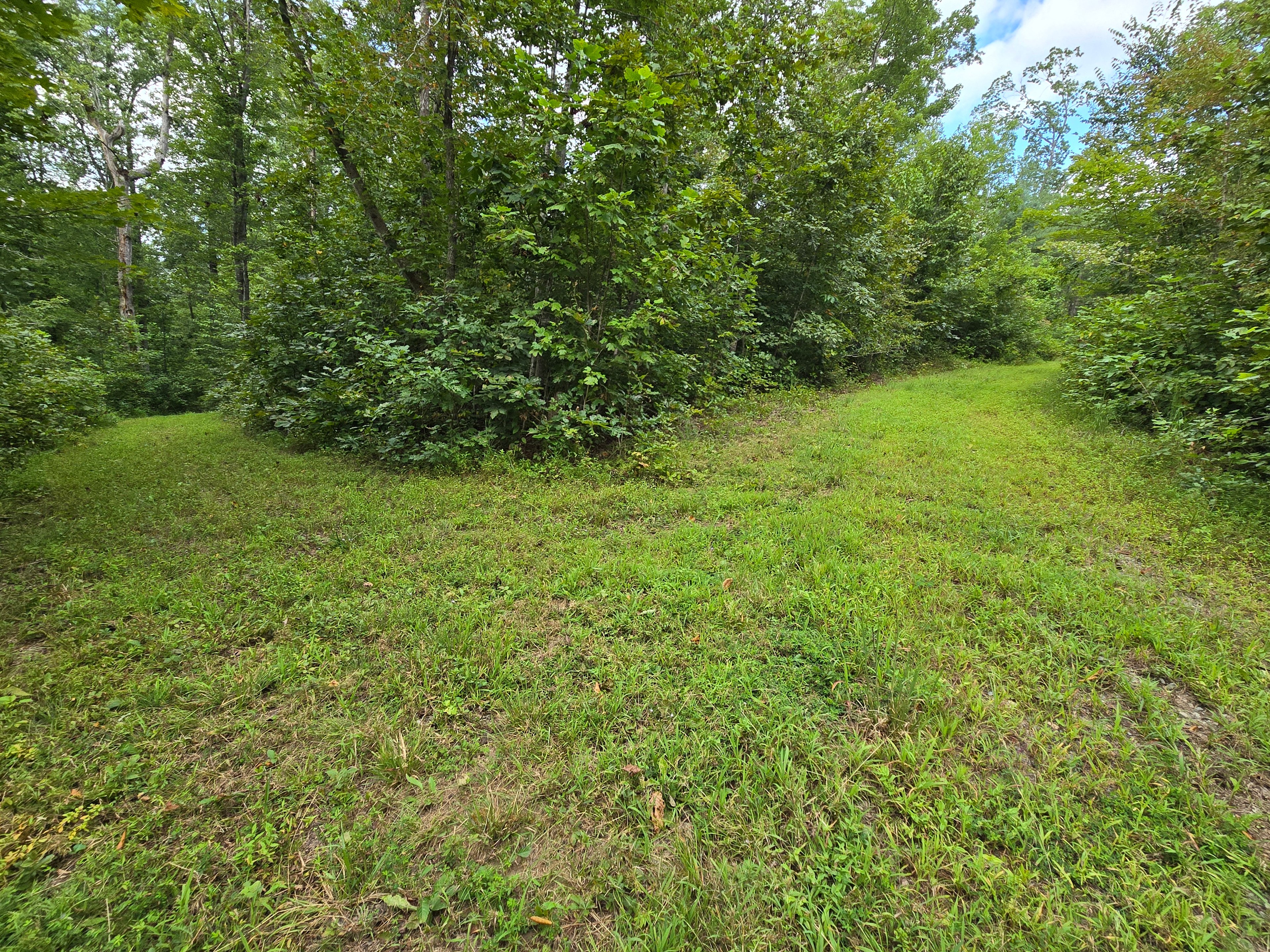 Intersection of trails, take your pick!