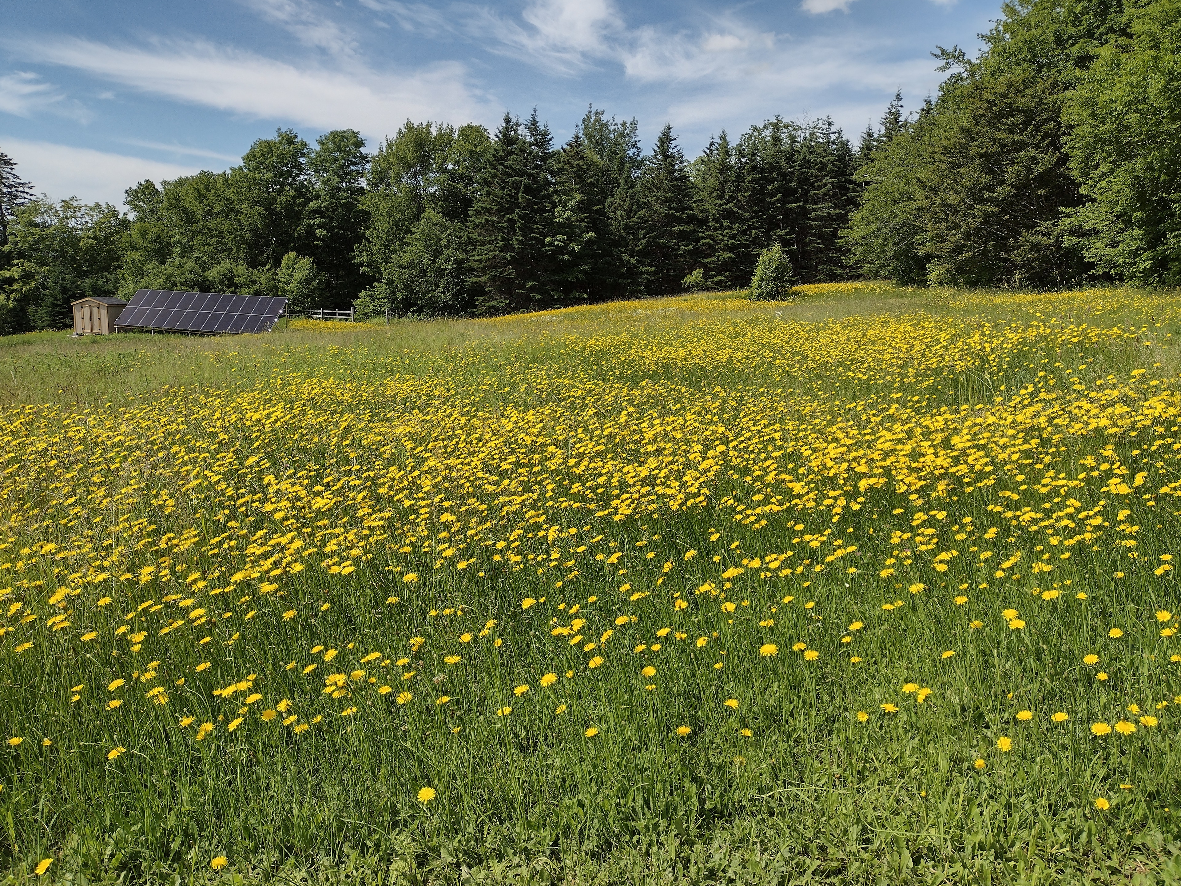 The entire property is off-grid and run on solar power