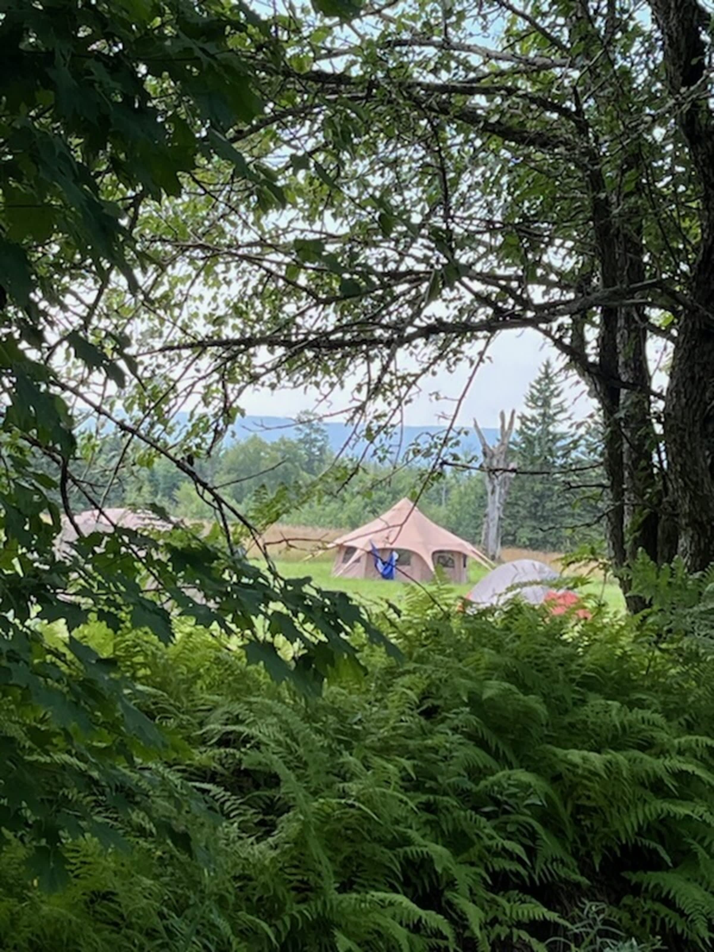 campers in the field