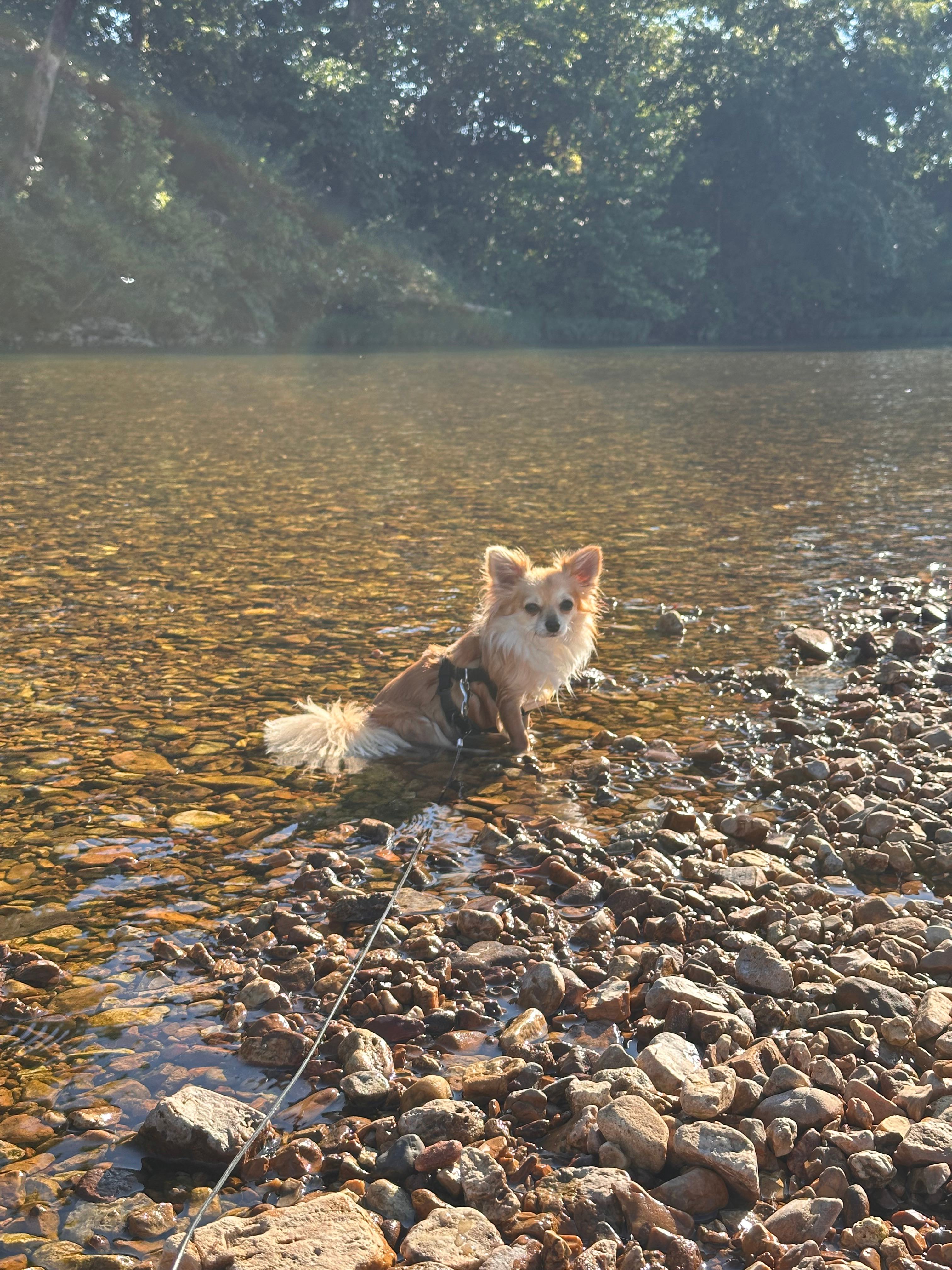 Never have to leave camp to enjoy the water