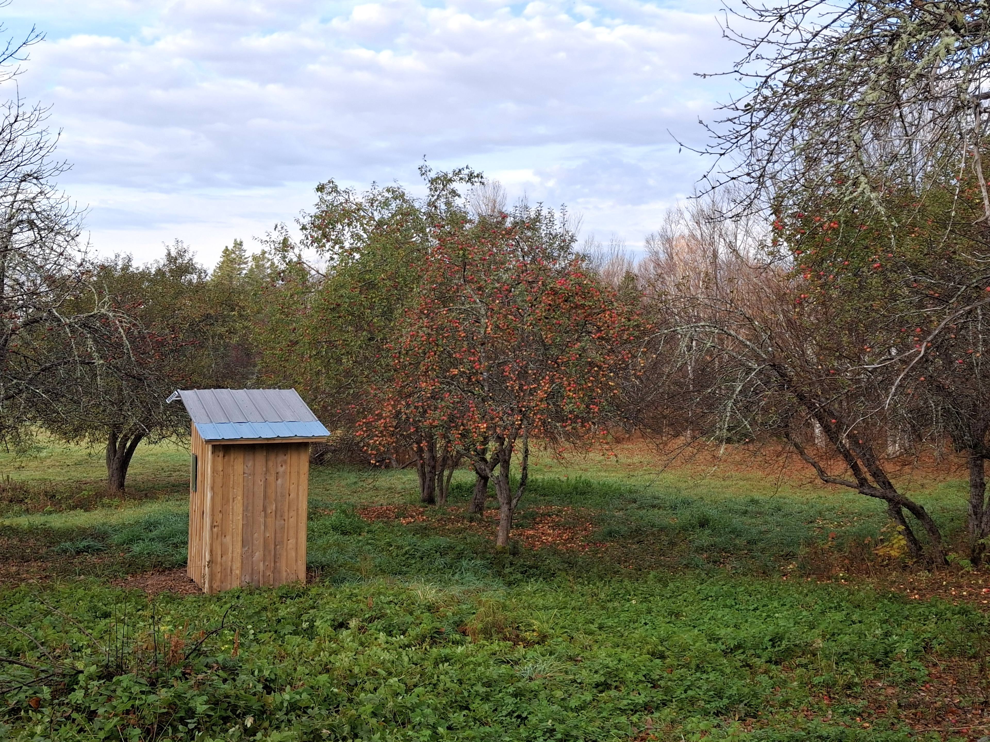 The outhouse