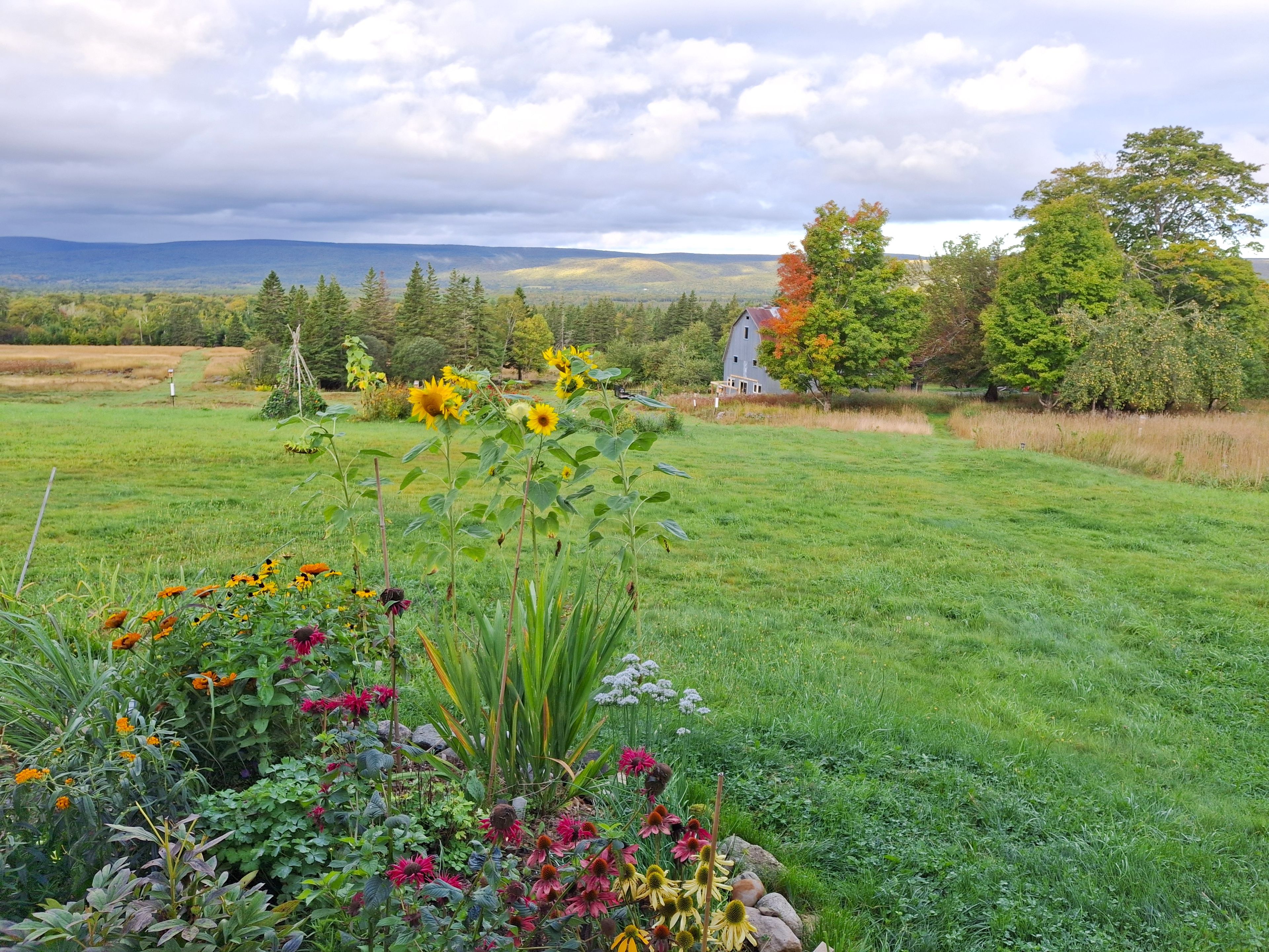 Fainne Crann Camping