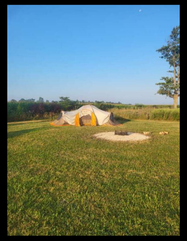 Wilde on Turtle Island Sanctuary