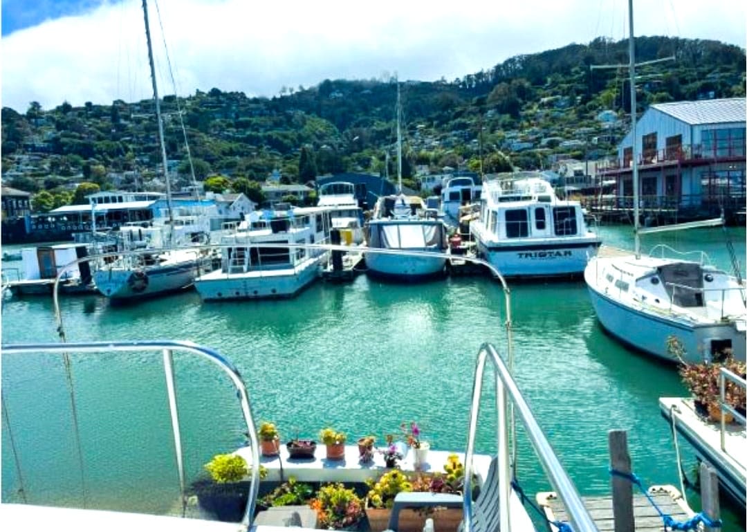 Cozy Cabin on the Water