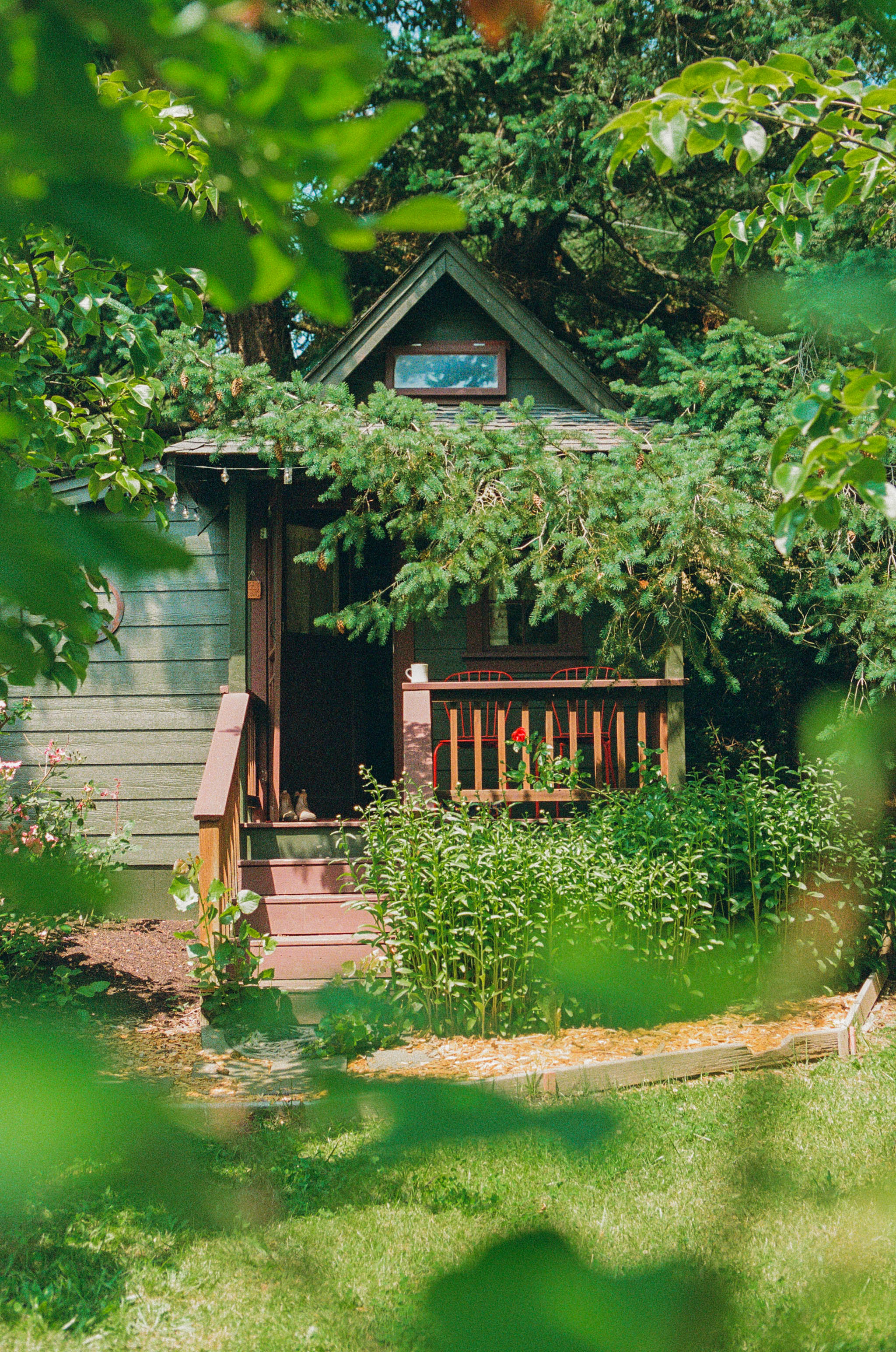 Cutest little cabin