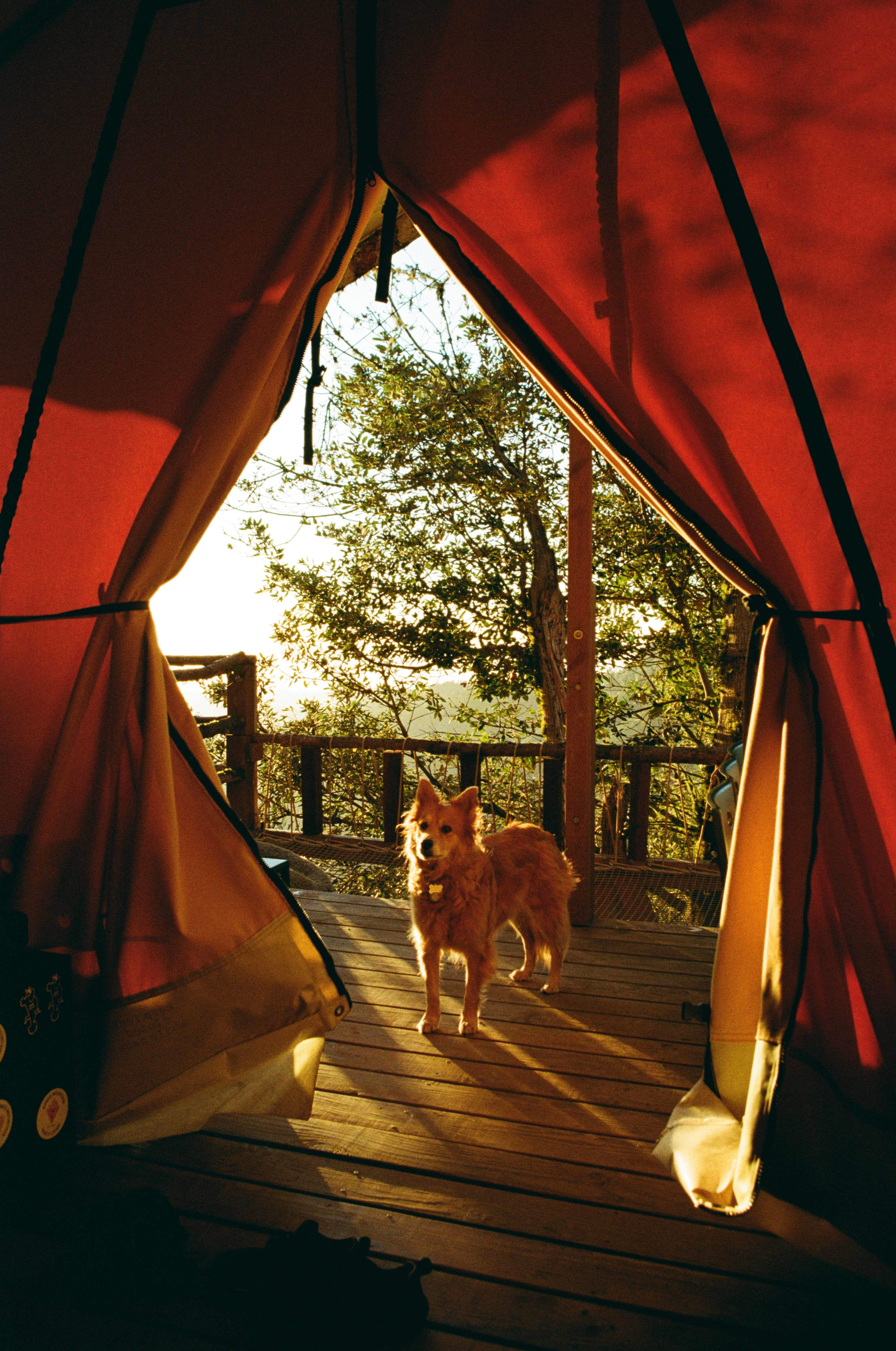 Kings Mountain Camp w/ ocean views