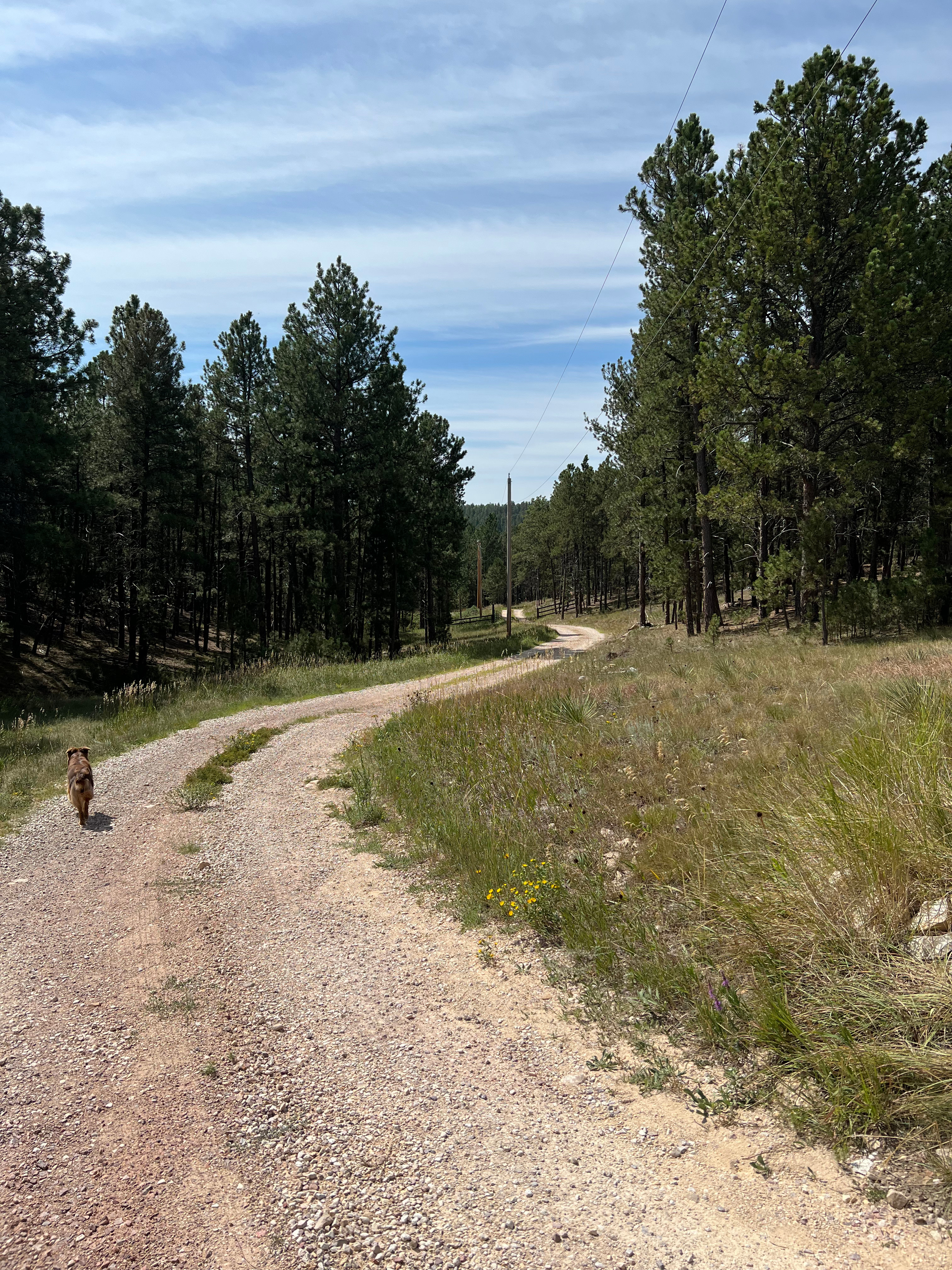 Refuge Hill Campsite